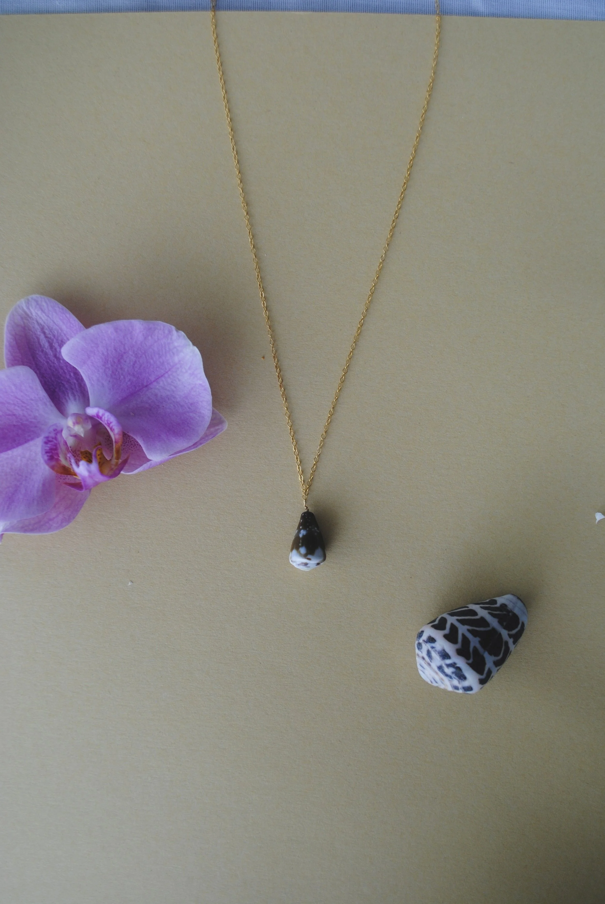 Rat Cone Shell Necklace