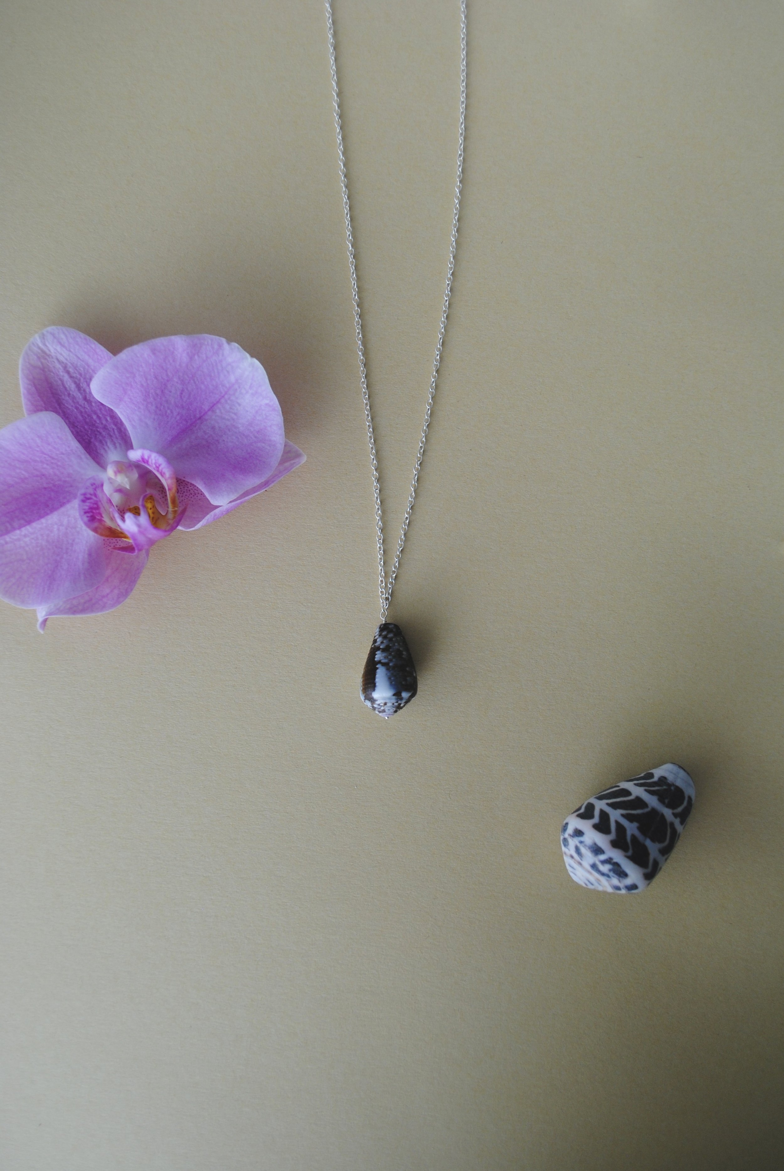 Cat Cone Shell Necklace