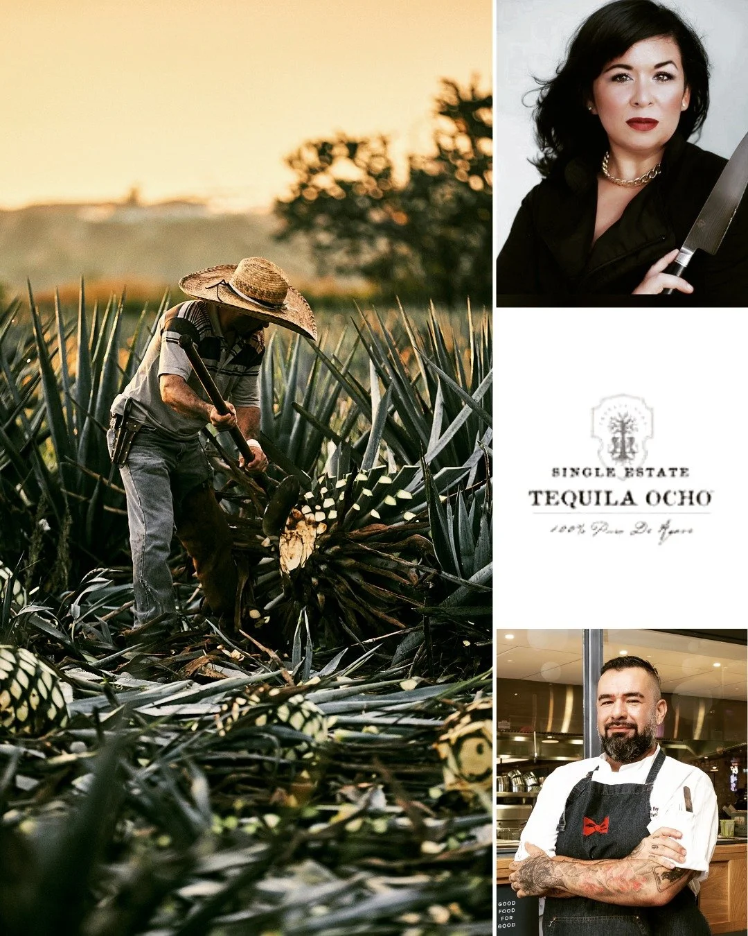 Two chefs. One table. Endless pours of liquid gold. 

Join us June 24th, @ 7:30pm for an intimate evening celebrating Tequila Ocho &mdash; a seductive tasting dinner crafted by two of Tampa&rsquo;s Mexican culinary powerhouses, Chef Felicia Lacalle a