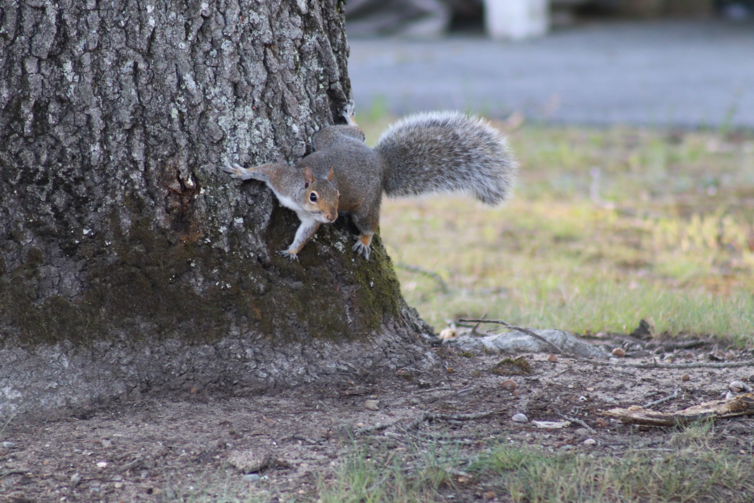 IMG_1567.jpg