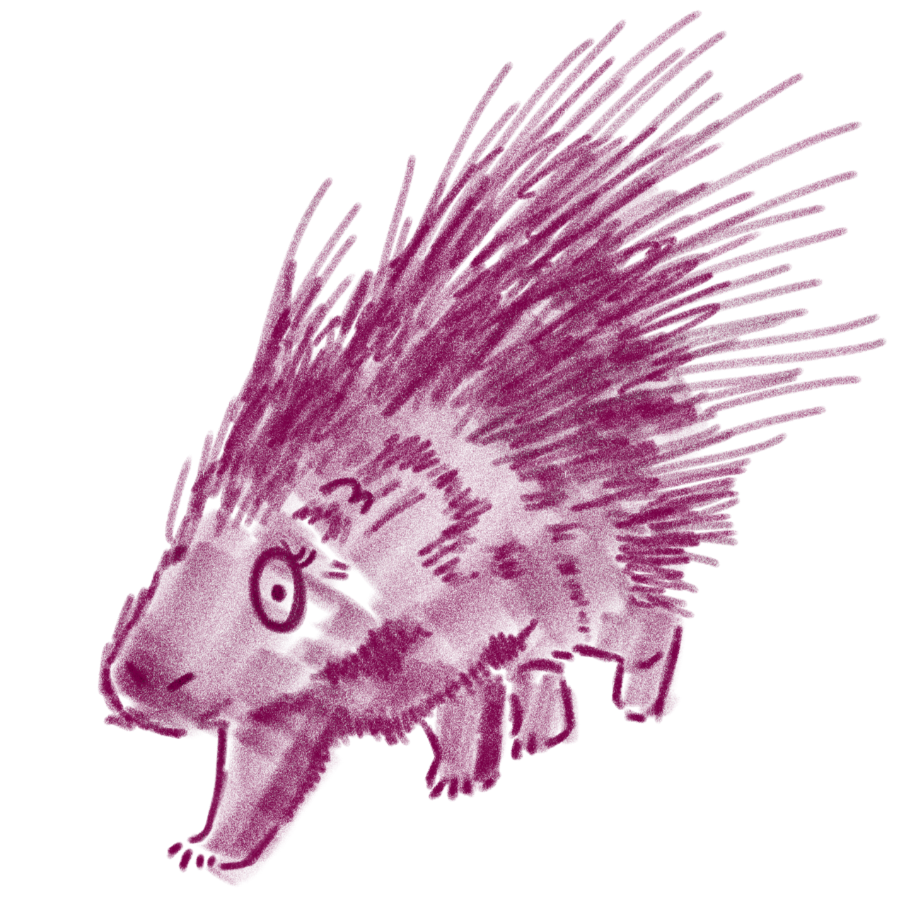 porc1.png