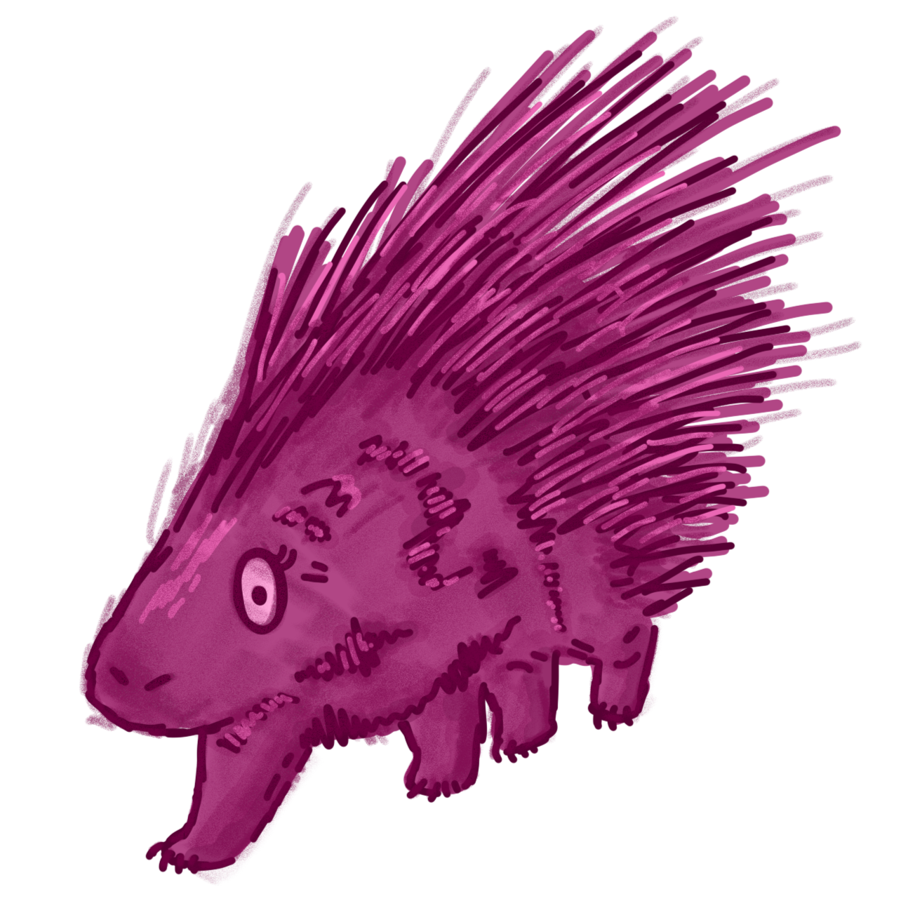 porc2.png