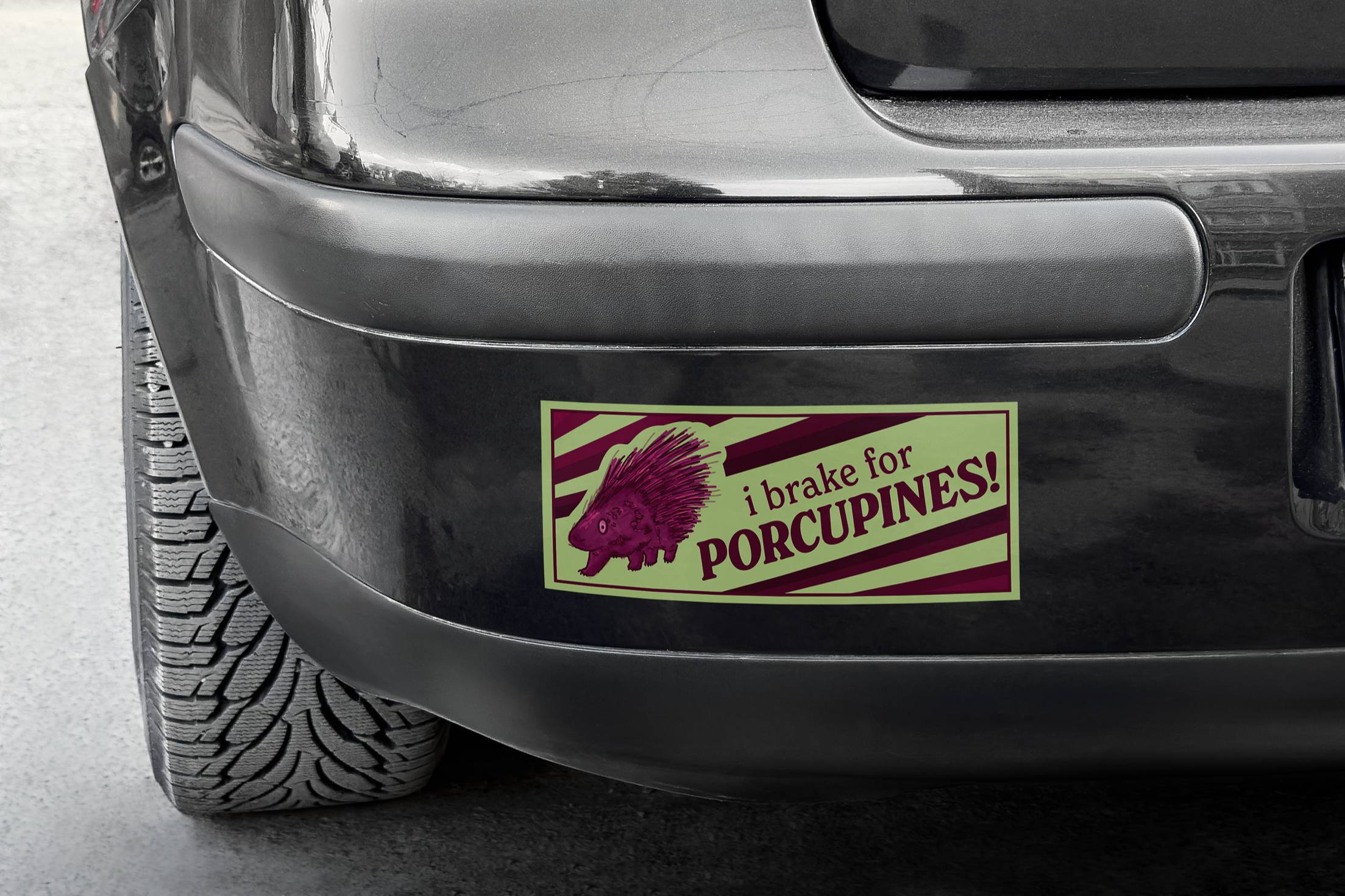 Bumper Sticker