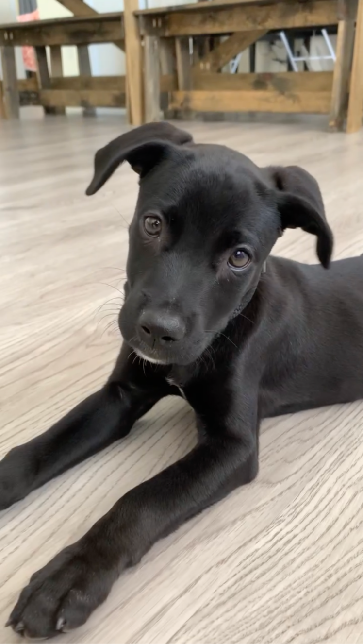 Ridgeline Property Maintenance