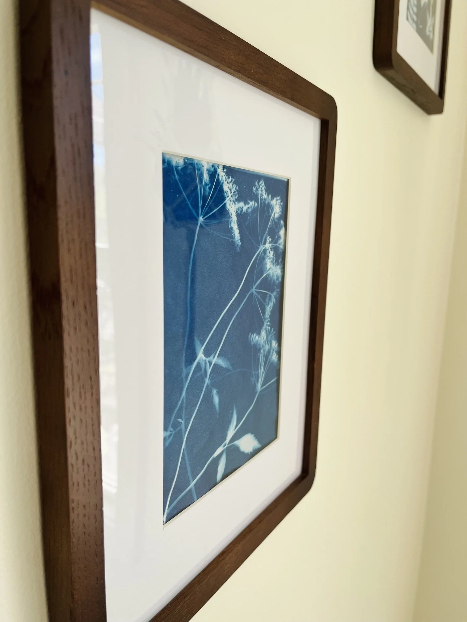 cyanotype-pressed-flower-print-blue.jpeg