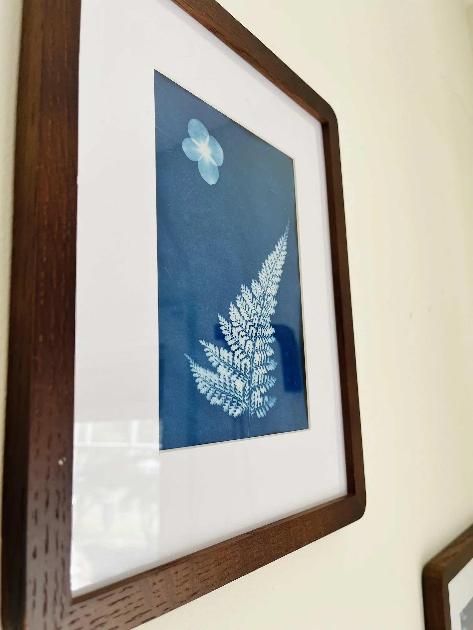 solstice-sun-prints-framed-wall.jpeg