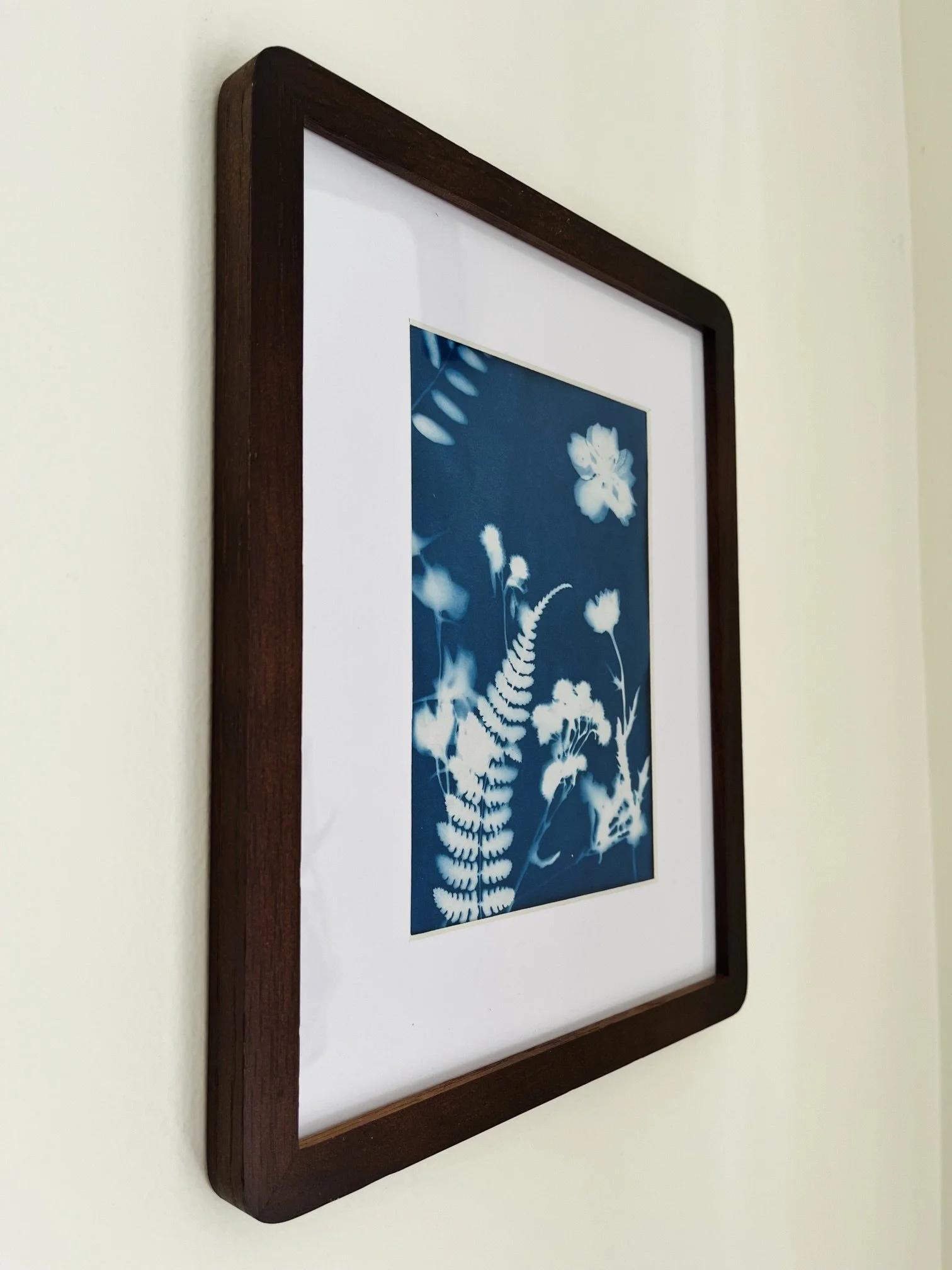 pressed-flowers-sun-print-photo.jpeg