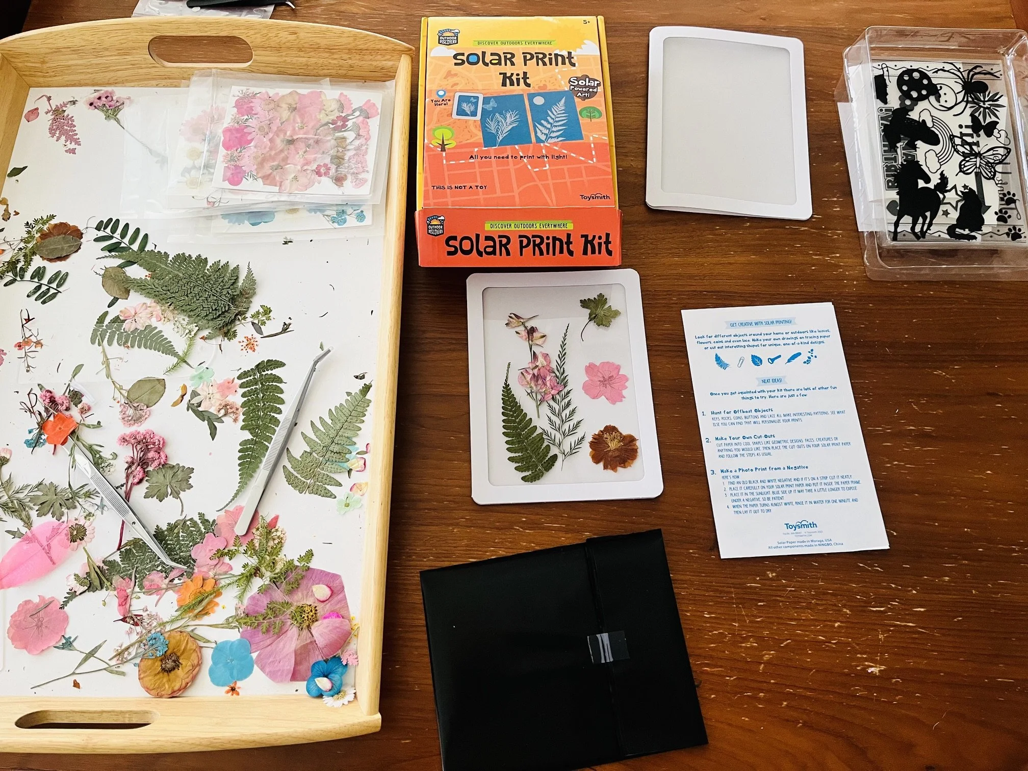 sun print photo making supplies and pressed flowers laid out on table