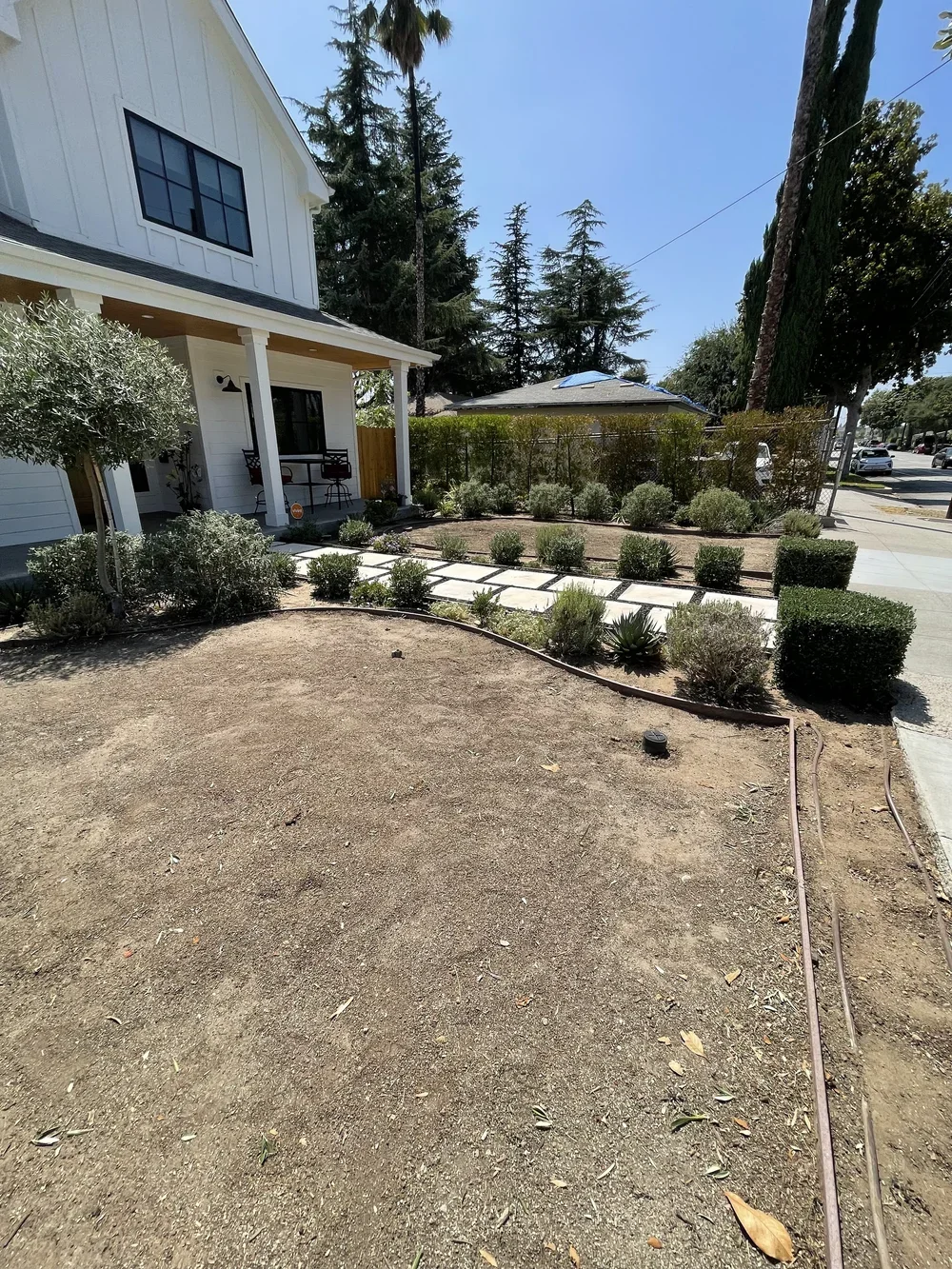 IVY  REMOVAL, BUSH AND TREE TRIMMING