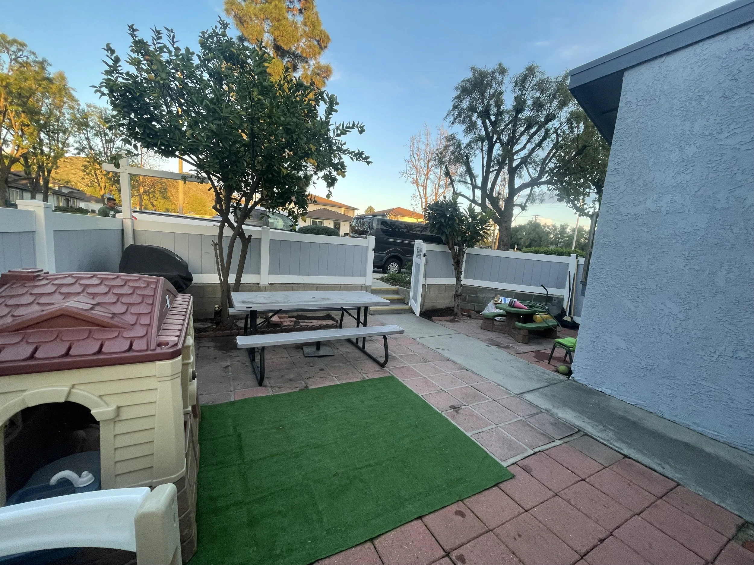 FRONT YARD CLEANUP AND TREE PRUNING