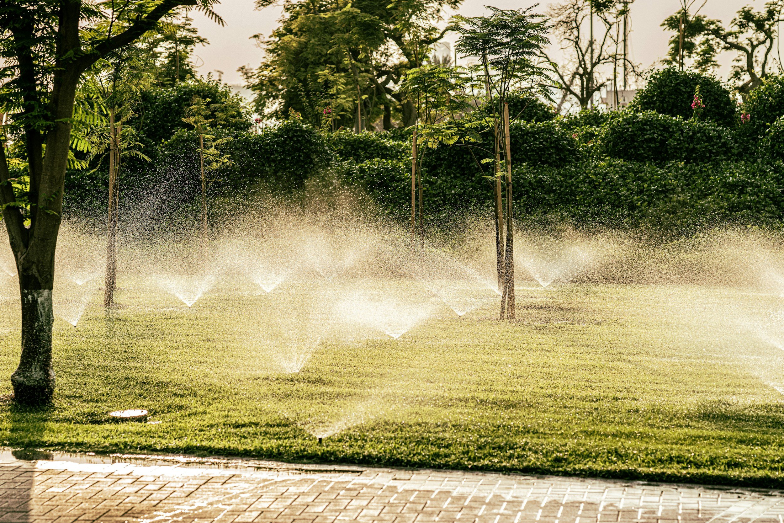 A park scene with trees and green bushes in the background, with sprinklers watering the grass in the foreground, and sunlight creating a bright, warm atmosphere.