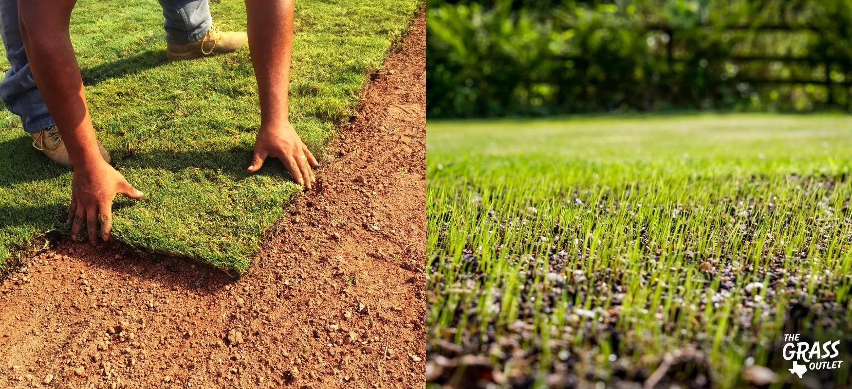 A person laying new sod on bare ground, with a close-up of the fresh grass and soil. The grass is vibrant green, and the soil appears freshly tilled. There is a logo in the bottom right corner reading 'The Grass Outlet'.