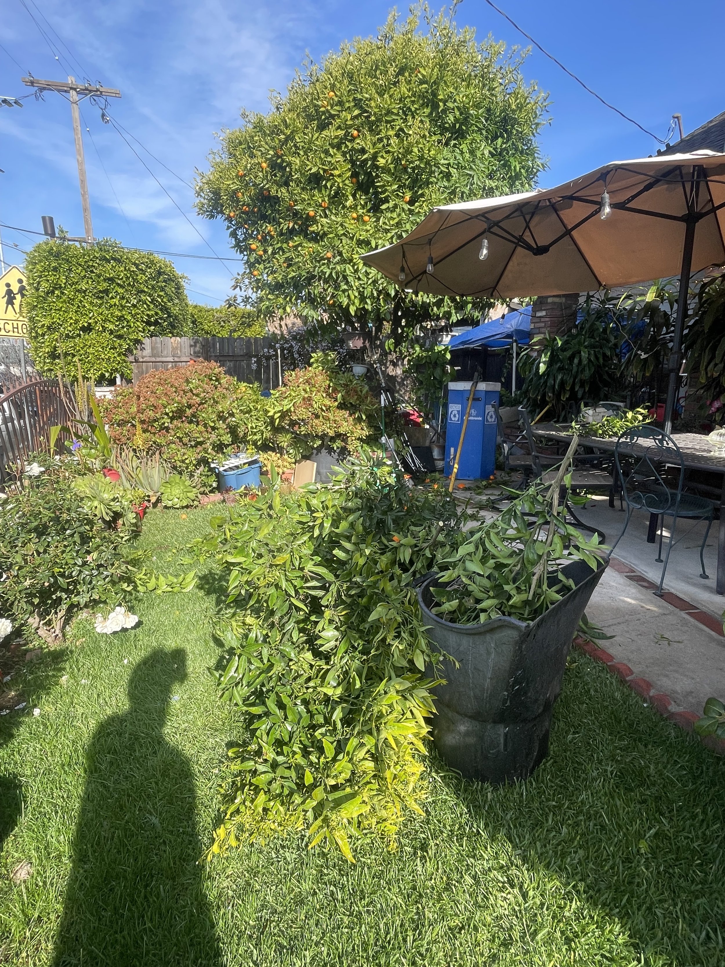 IMG_0784.jpeg
