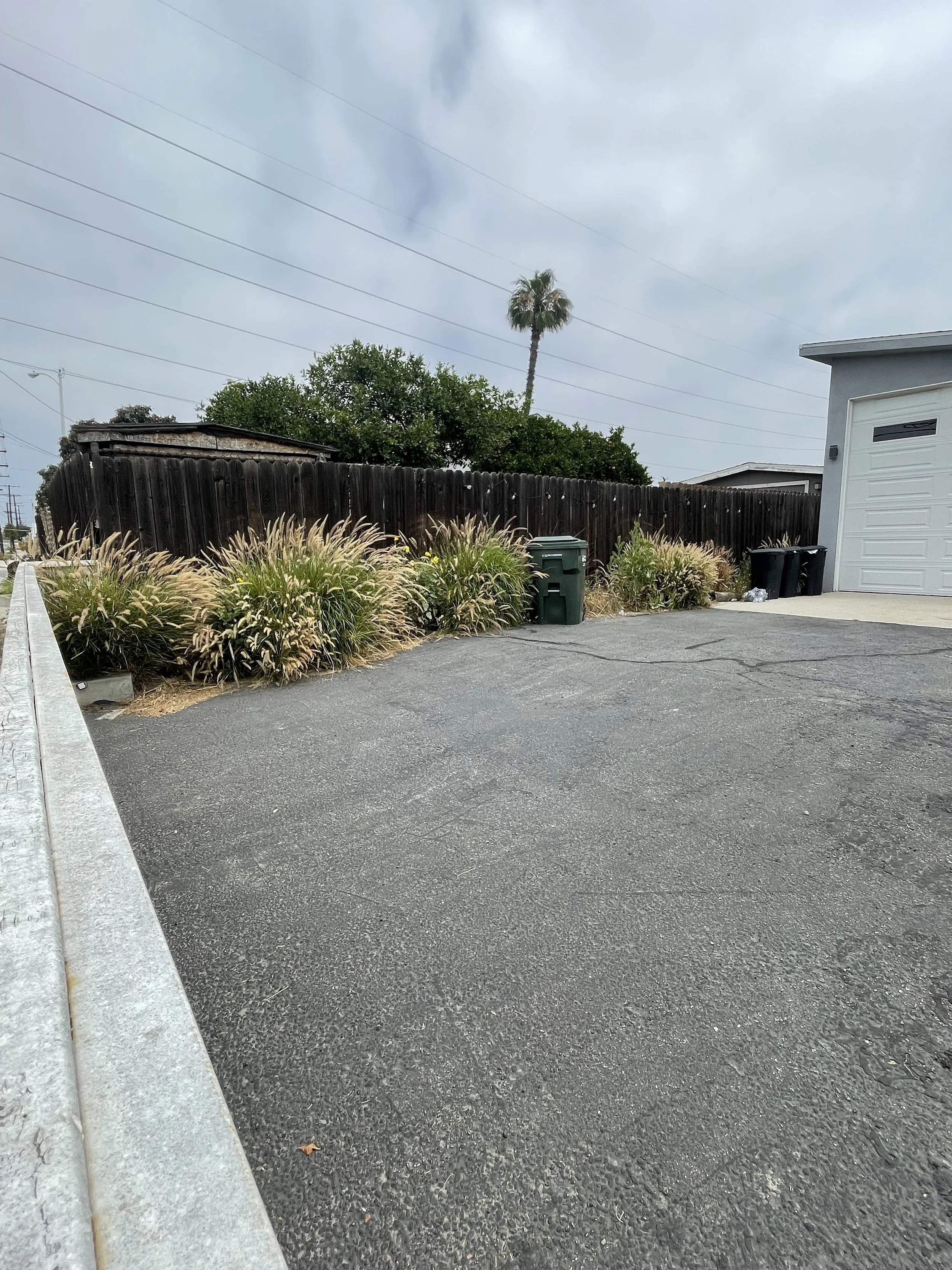 IMG_1276.jpeg