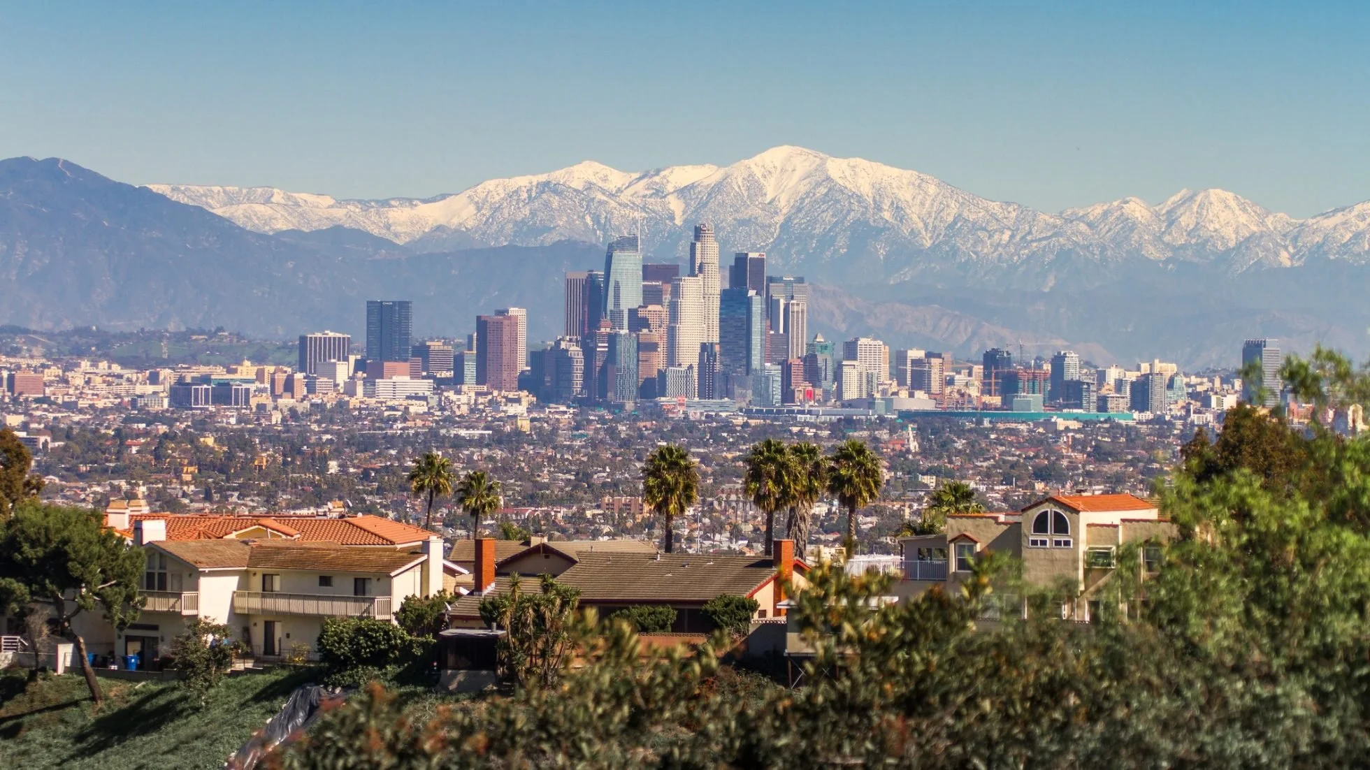 View of downtown Los Angeles with skyscrapers, mountains in the background, and palm trees in the foreground.