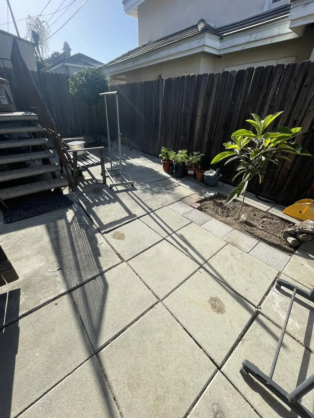 TREE TRIMMING AND WEED REMOVAL