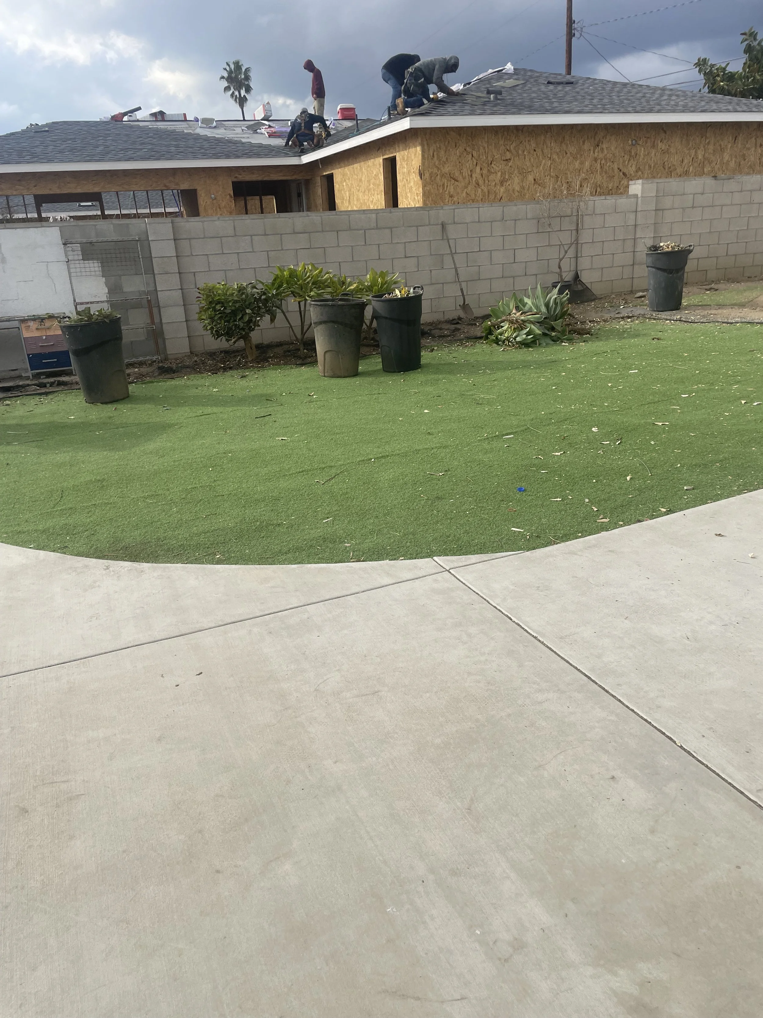 IMG_0504.jpeg