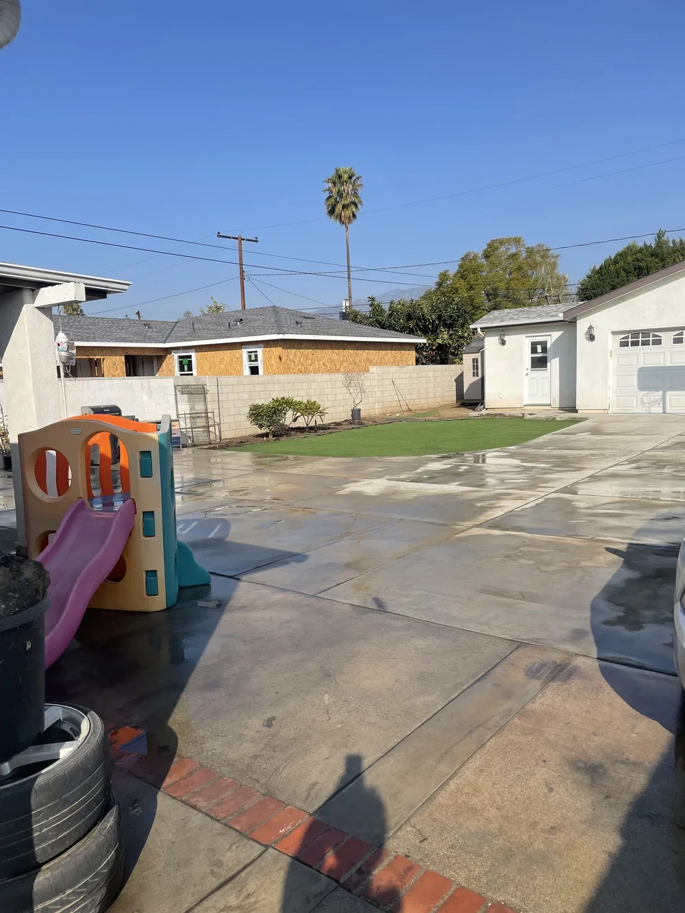 WEED AND PLANT REMOVAL