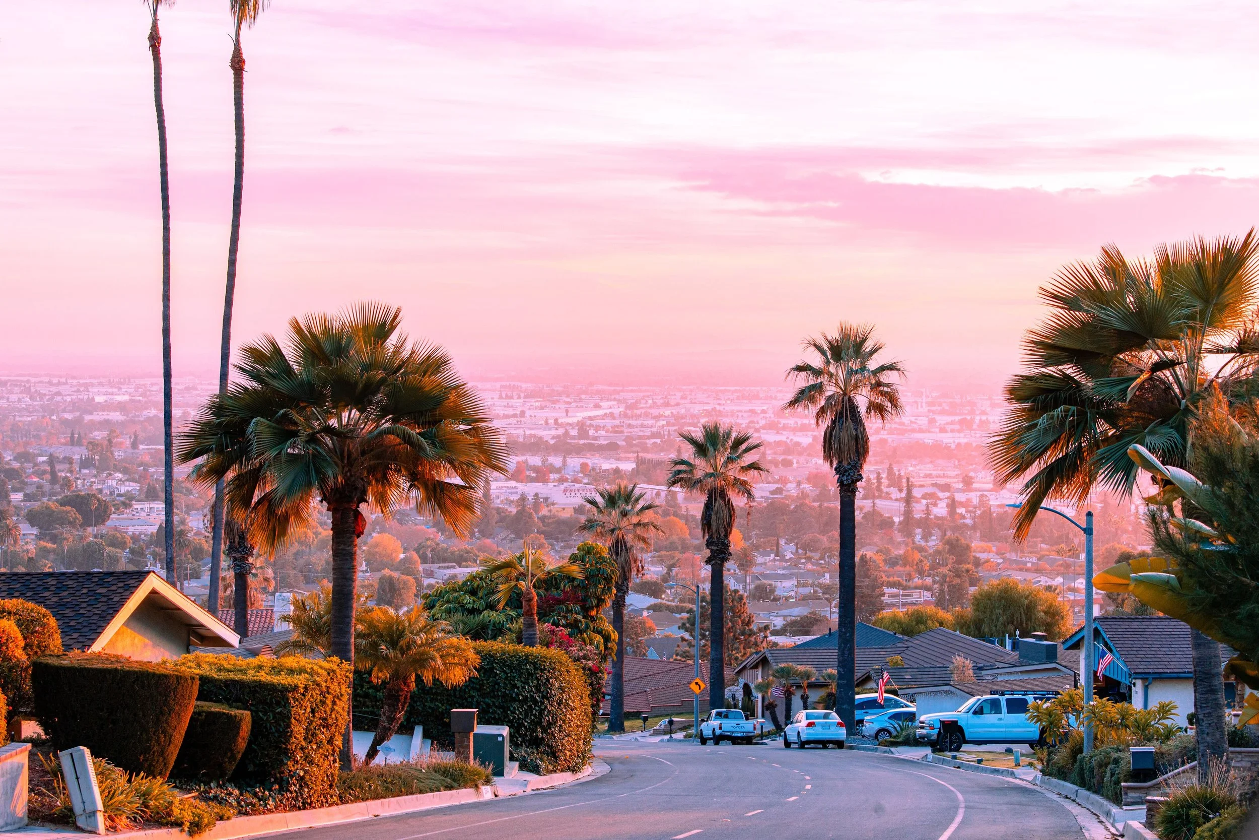 Residential neighborhood with rooftops, parking lot with cars, and tall palm trees at sunset or sunrise with pink and purple sky.