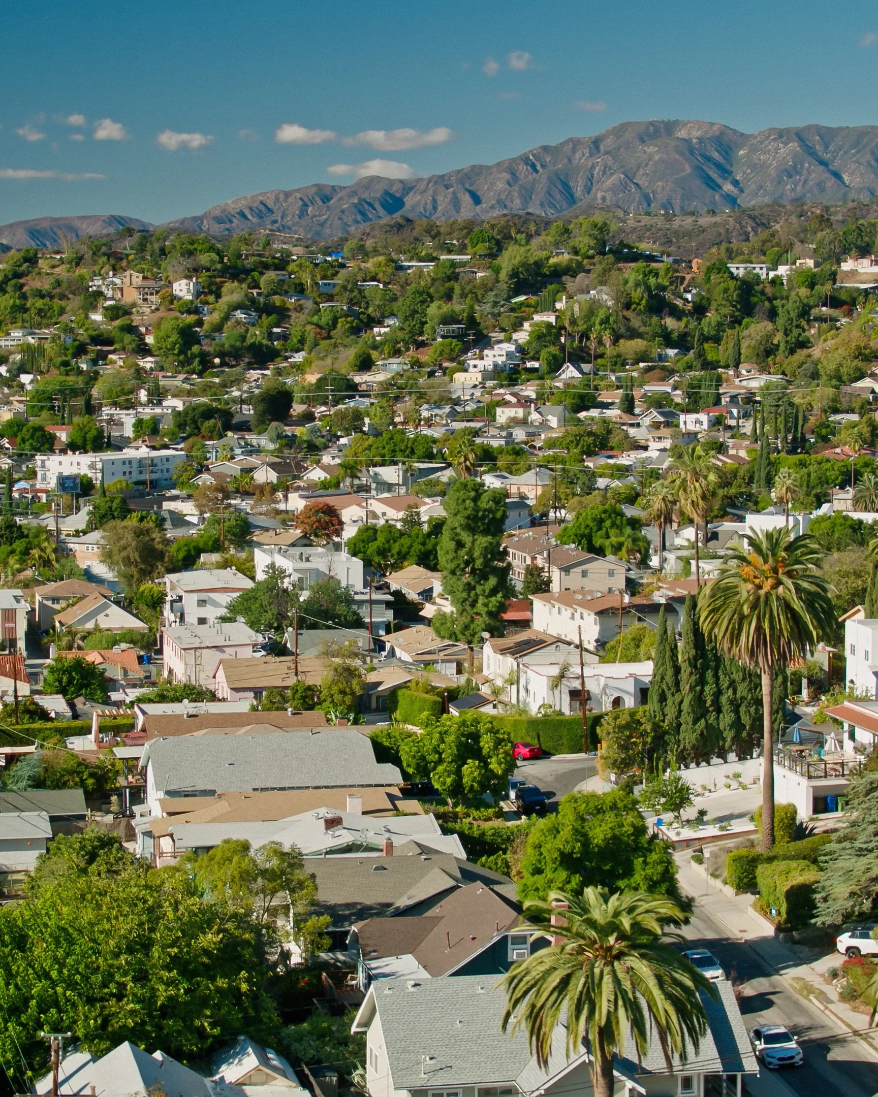 A hillside neighborhood with houses surrounded by lush green trees, with mountains and a blue sky in the background.