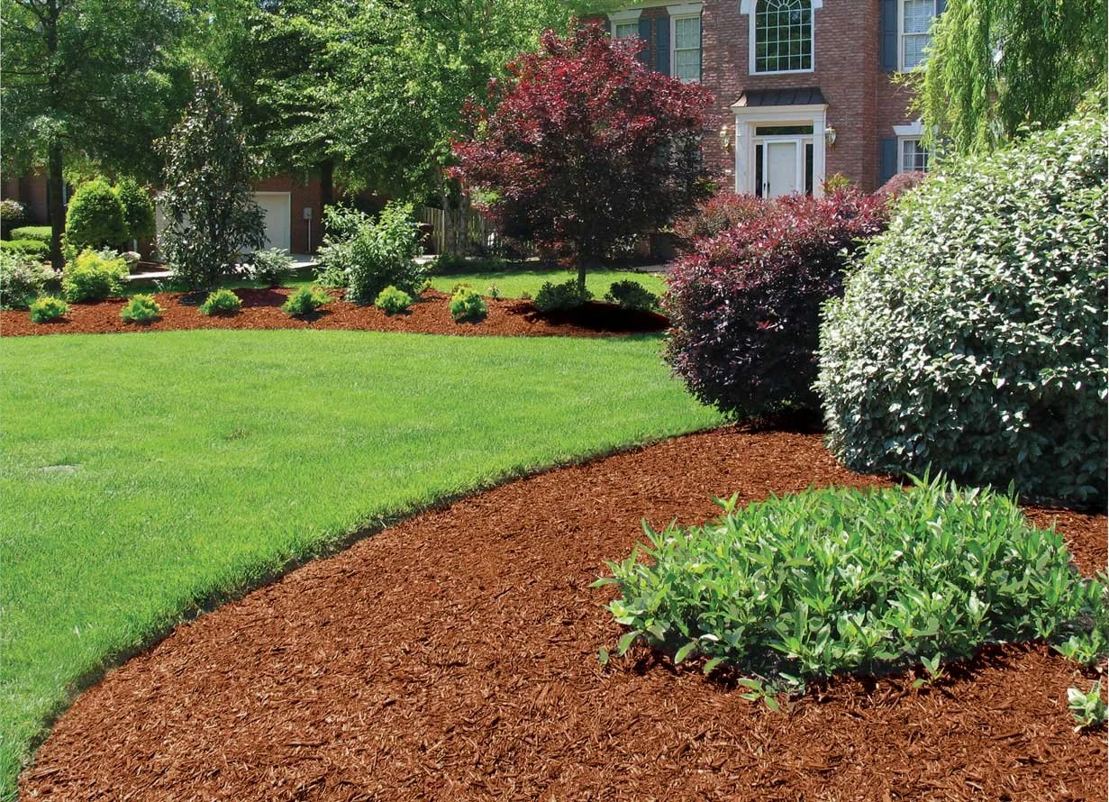 Well-maintained front yard with lush green grass, mulched flower beds, and various shrubs and trees in front of a brick house.
