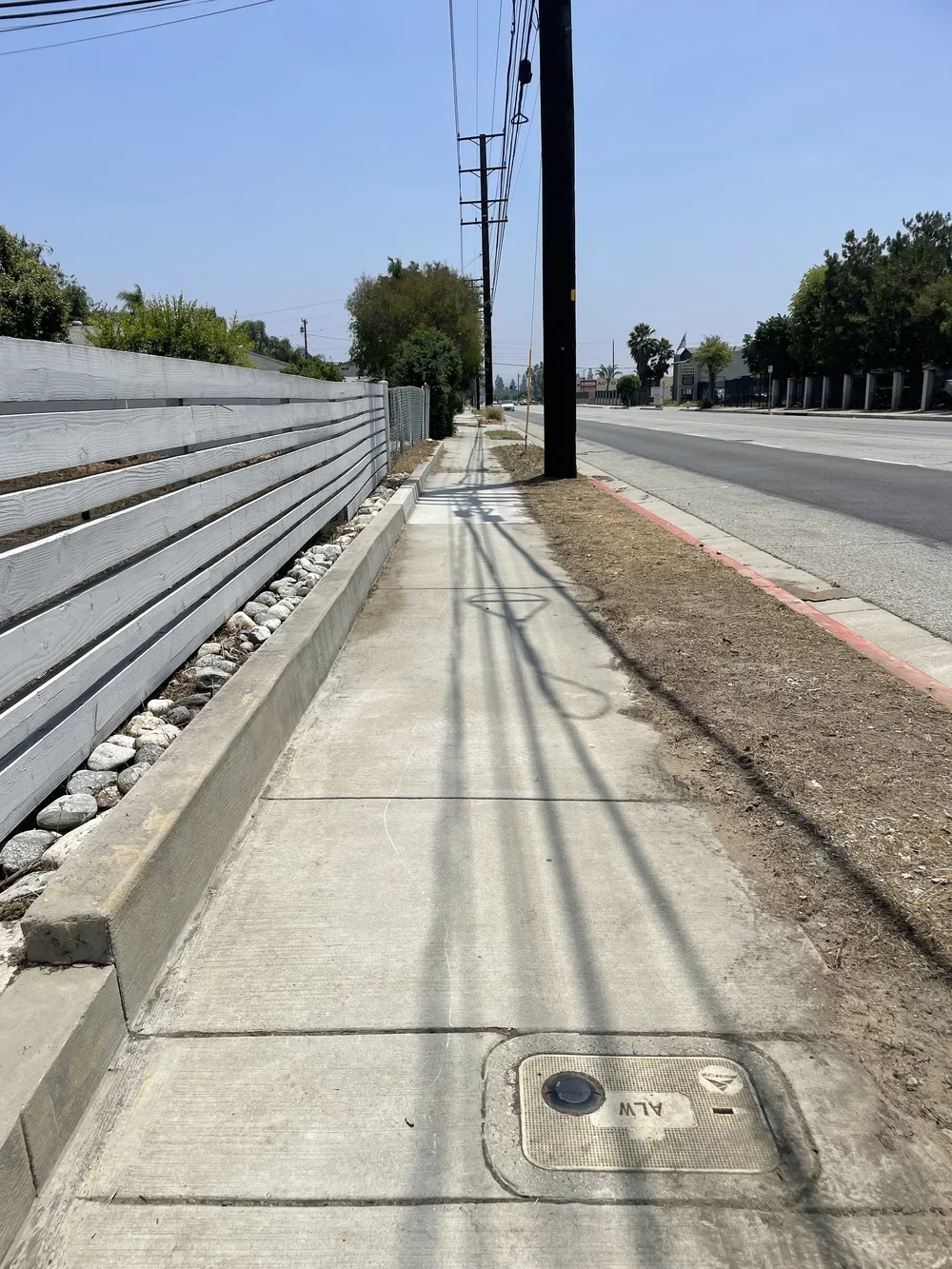 WEED AND PLANT REMOVAL