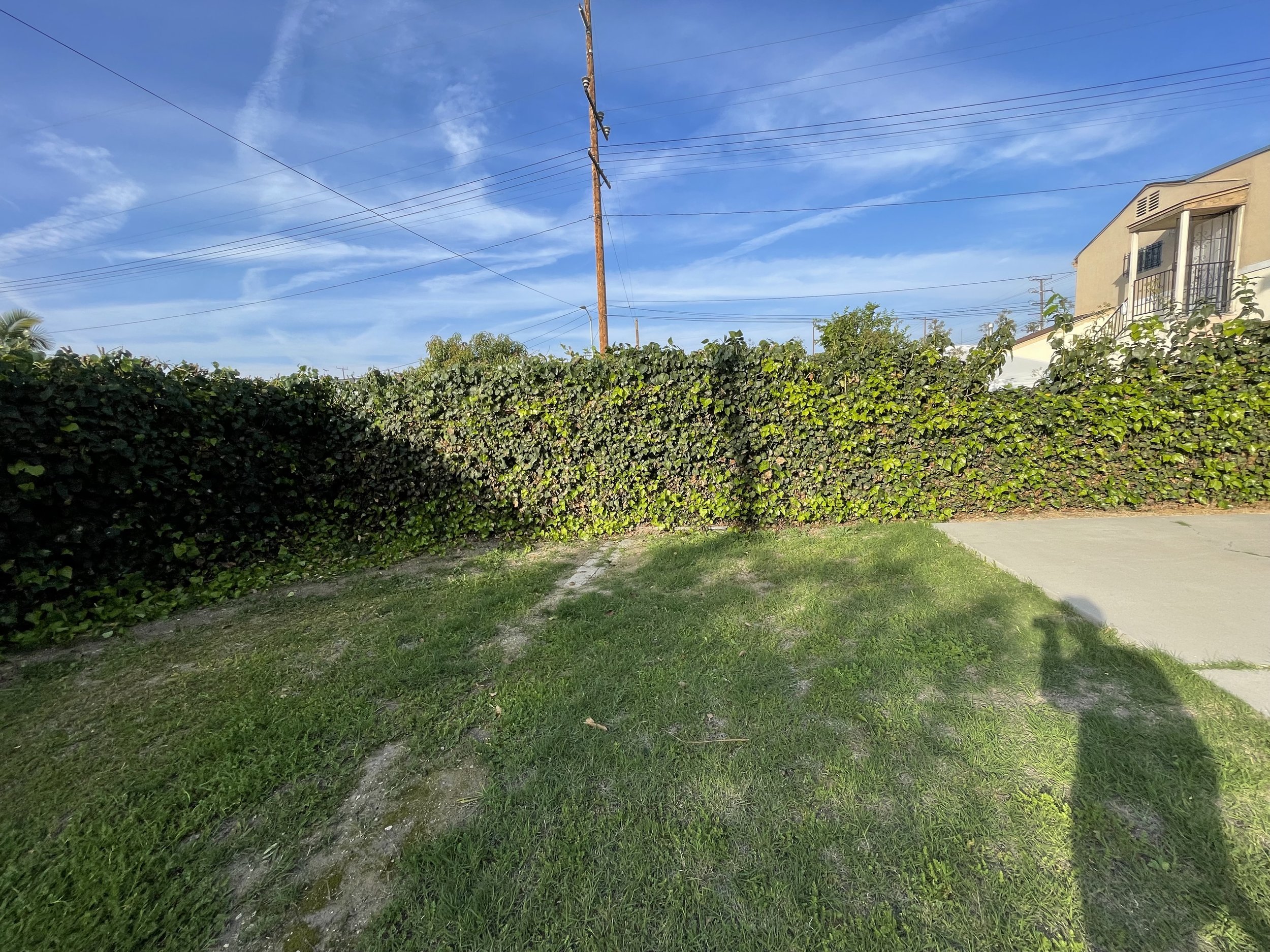 IMG_3188.jpeg