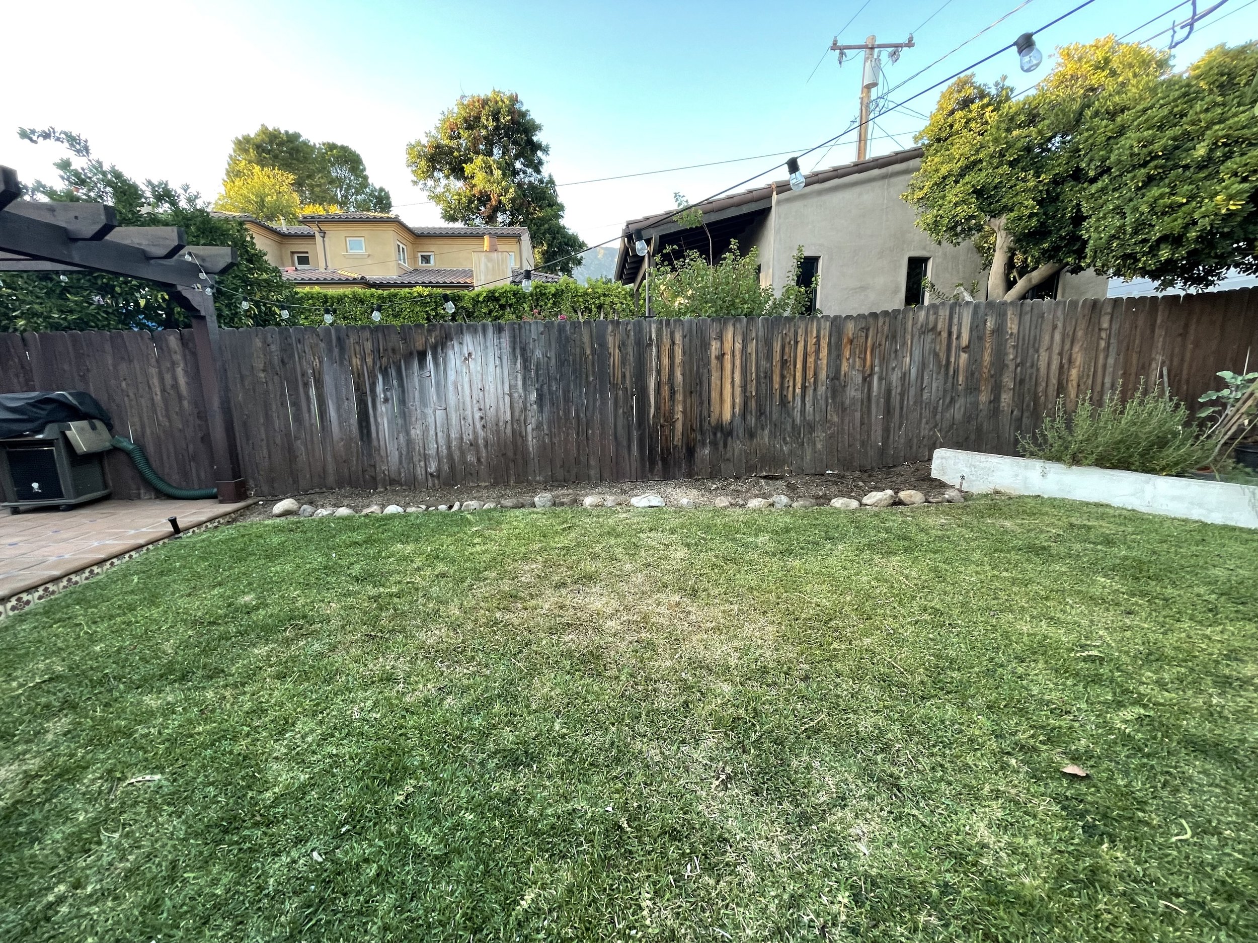 REMOVAL OF PLANTS