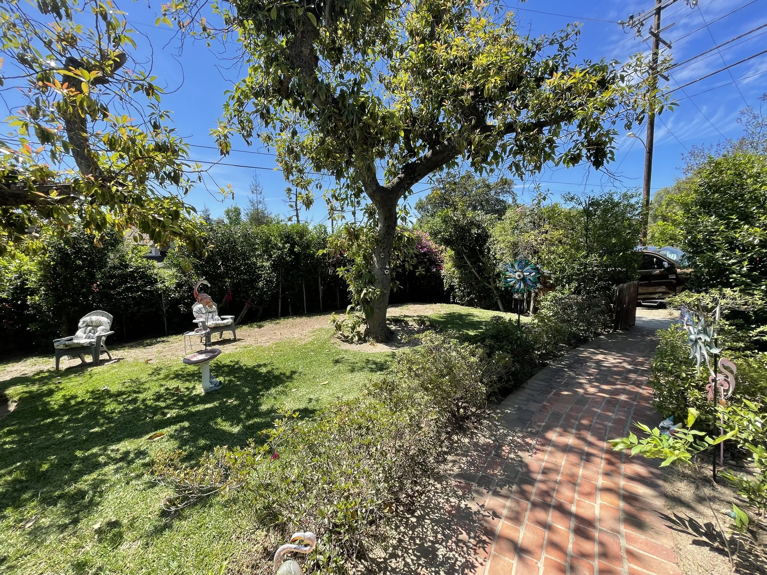 IMG_4060.jpeg
