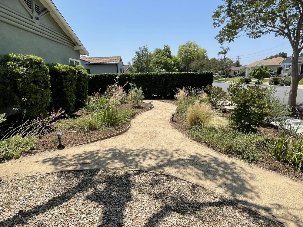 HEDGE TRIMMING AND WEED REMOVAL IN ARCADIA