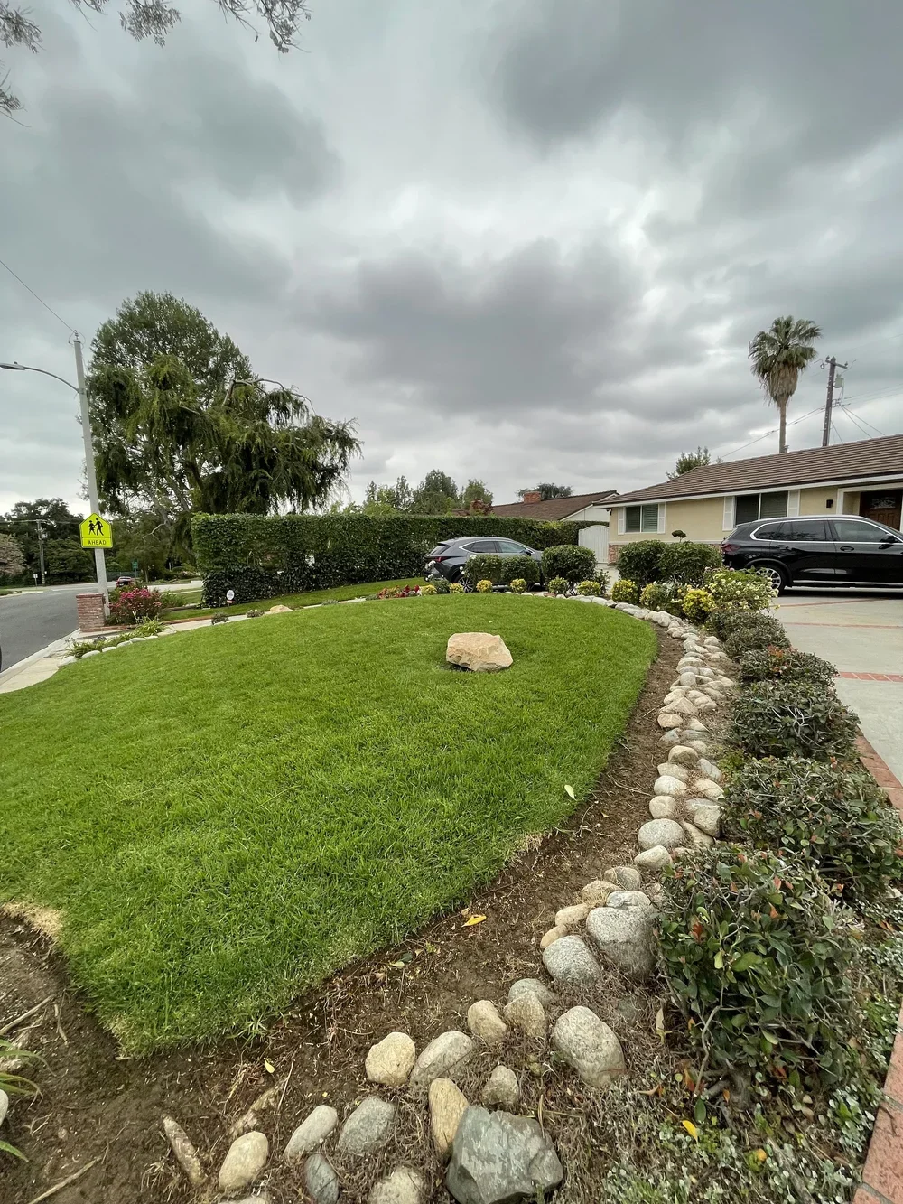 HEDGE, TREE, AND SHRUB TRIMMING IN ARCADIA