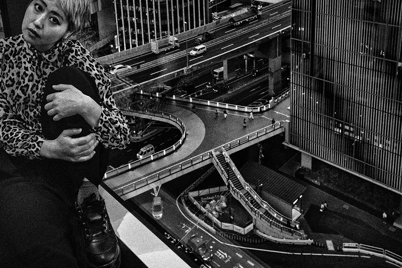 _V025731.jpg