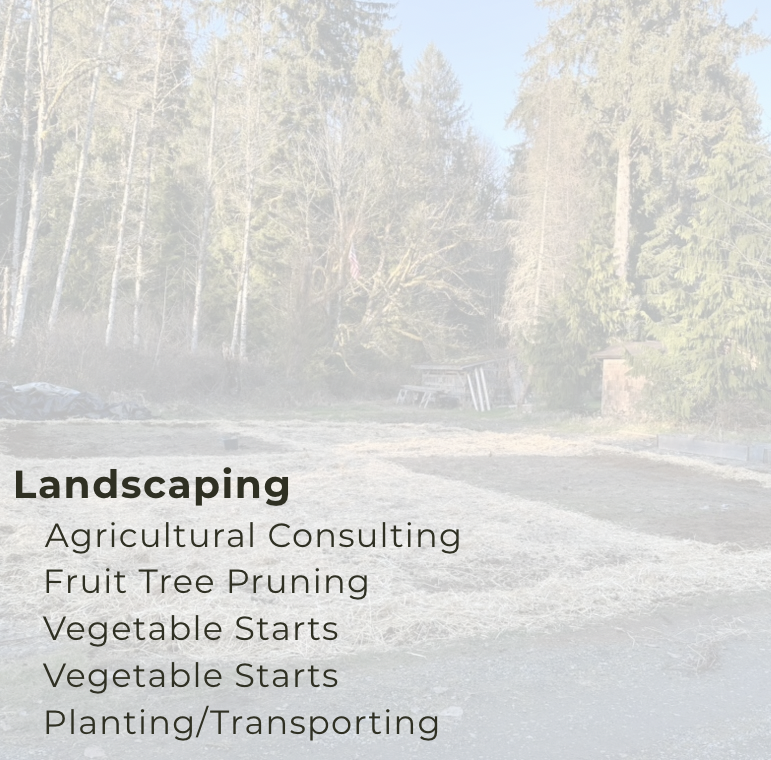 Screenshot 2026-03-14 at 11.53.24 PM.png