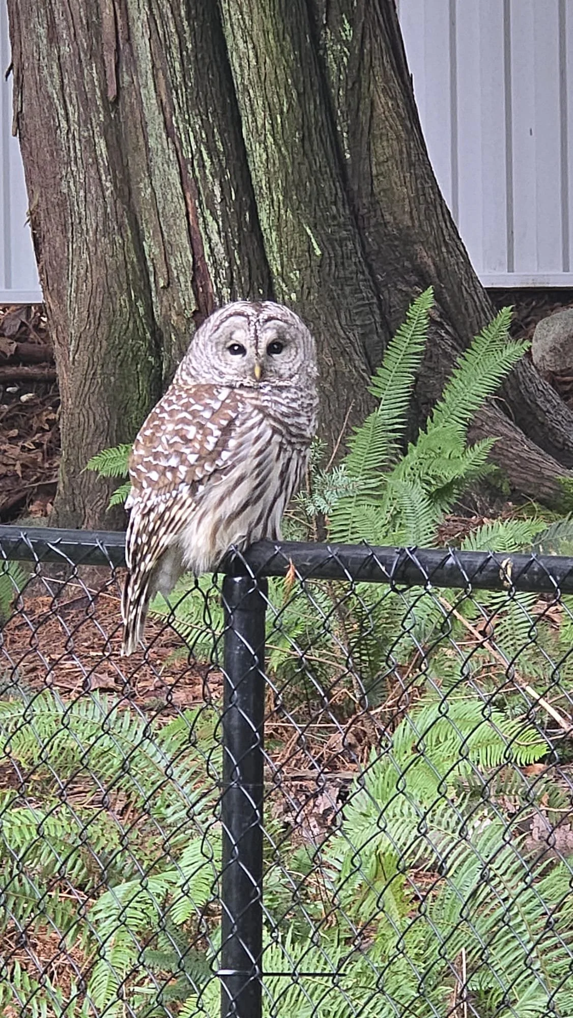 How the Natural Environment Helps Children Develop Different Abilities