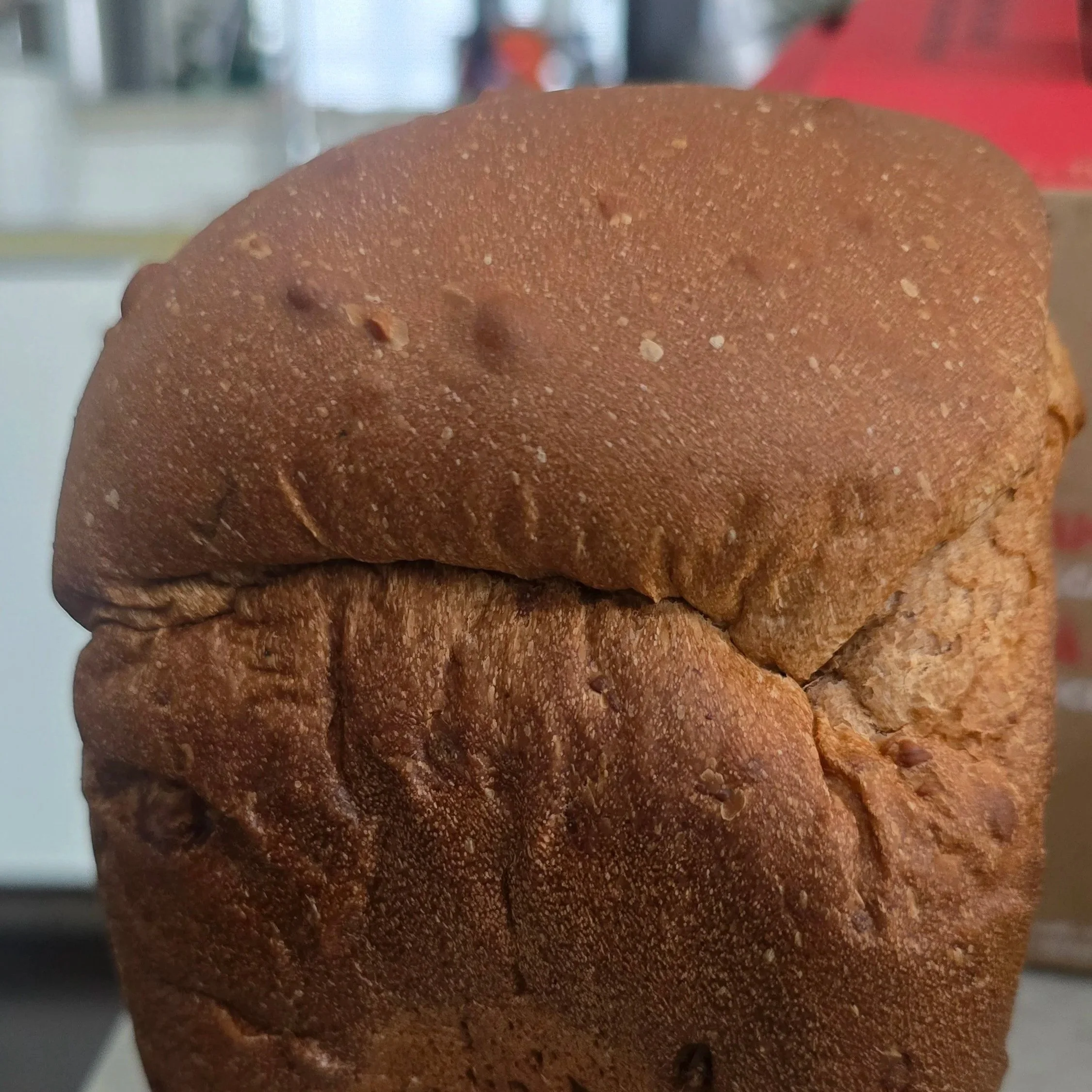 Healthy Meals for Growing Children: Supporting Development Naturally  健康膳食促進孩子成長：天然飲食助力發展