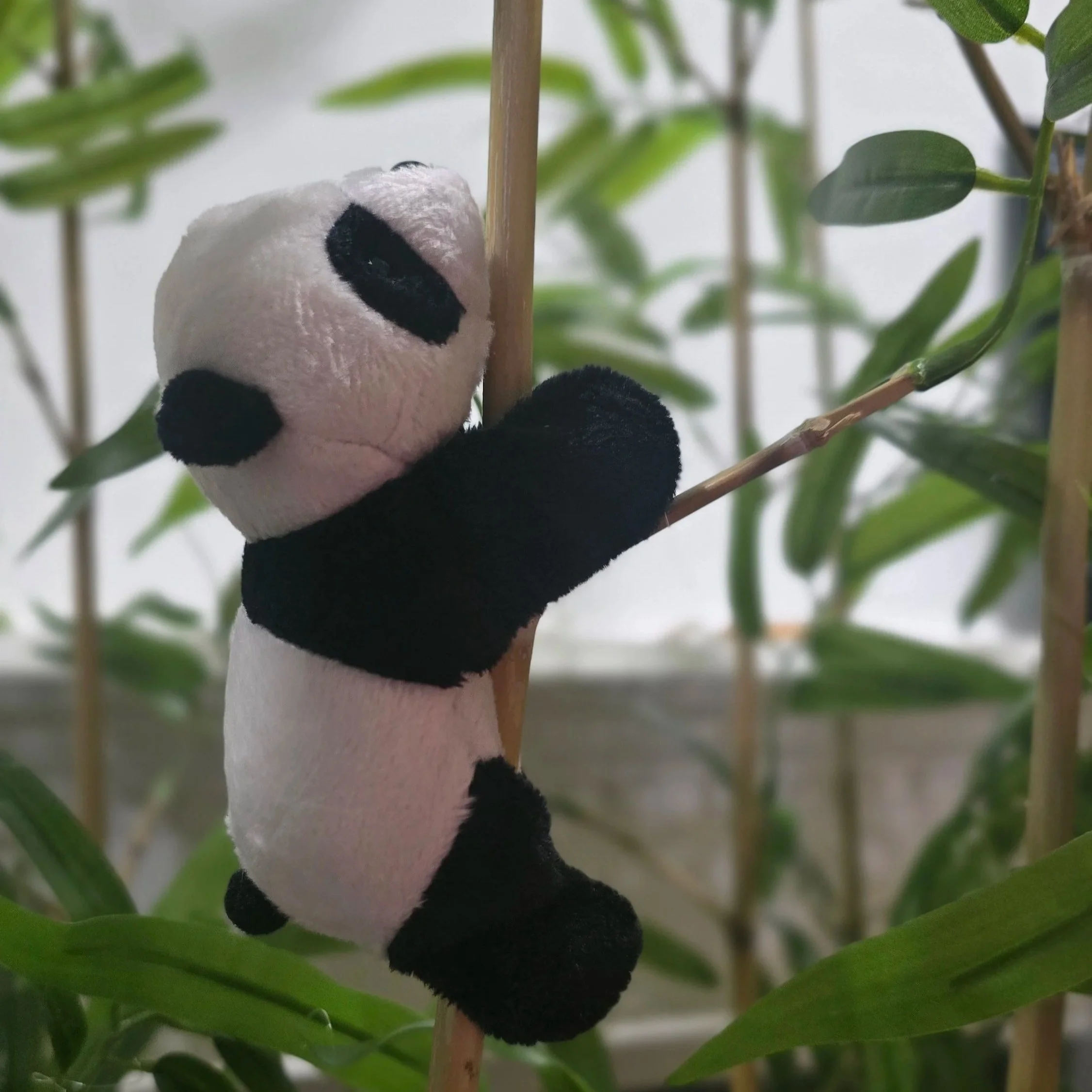 Bilingual Children Are Not Confused—They Are Thriving