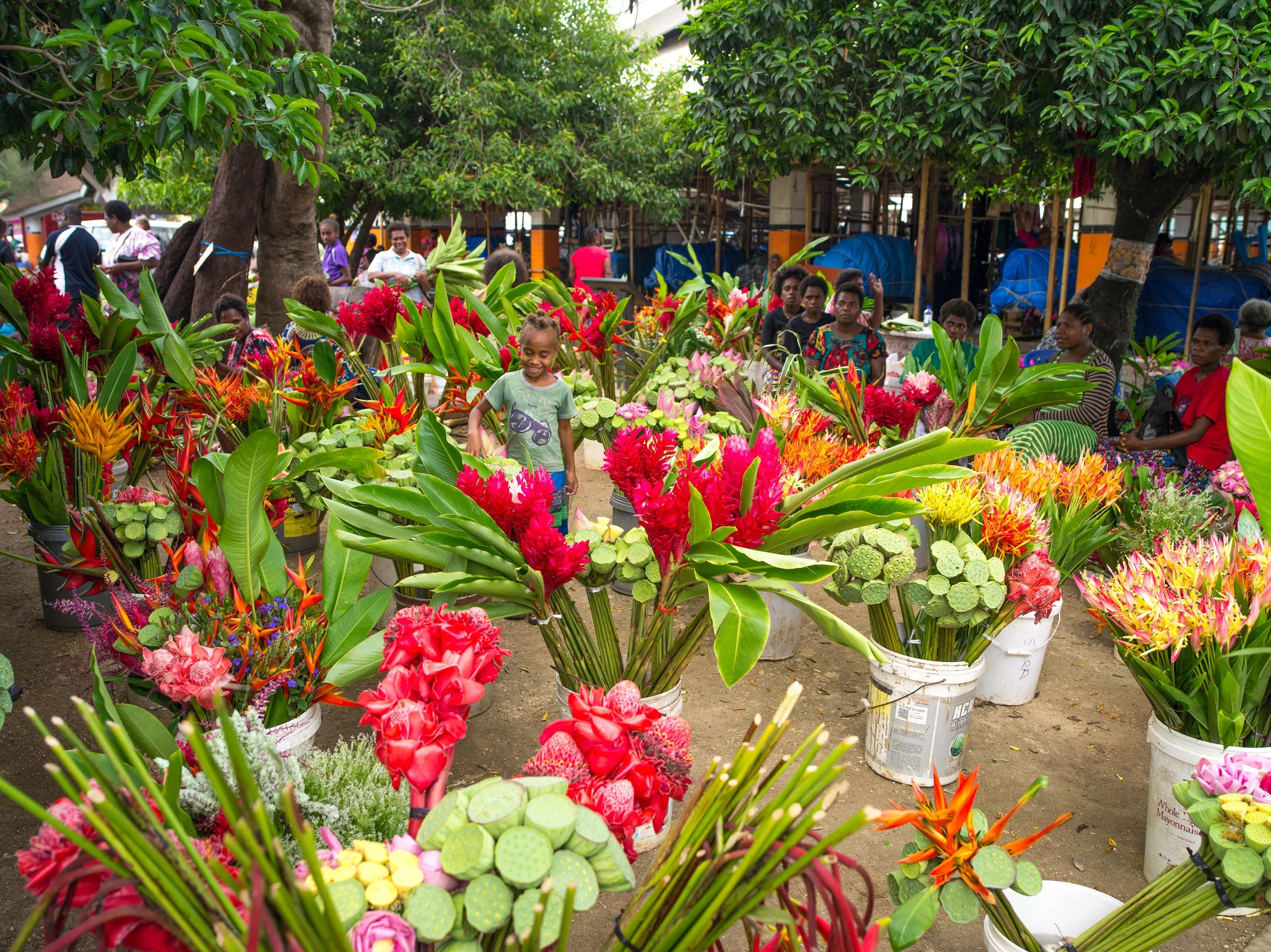 port_vila_markets_efate_activities.jpg