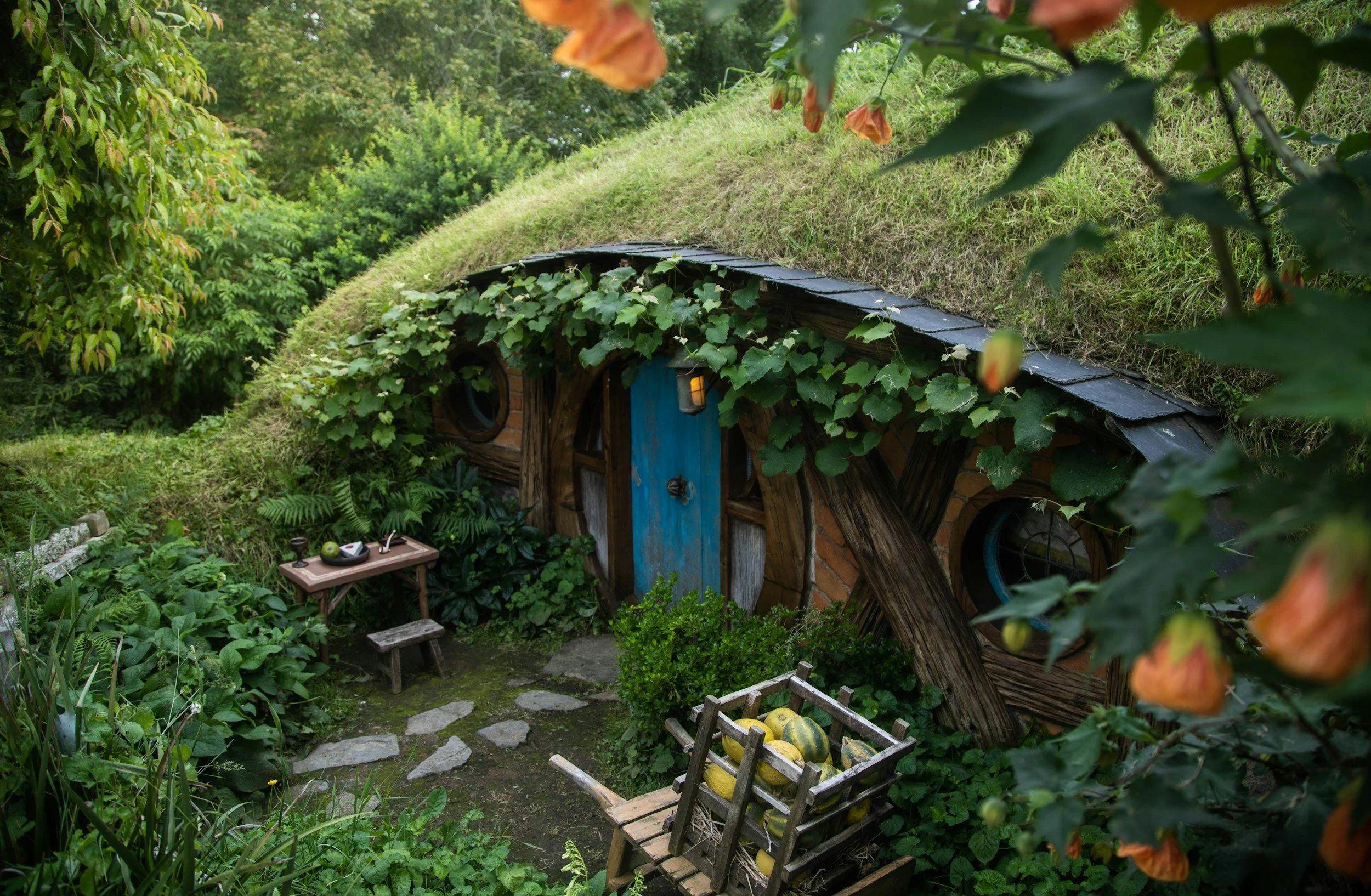 Step Into the Story: The Timeless Charm of the Hobbiton Movie Set