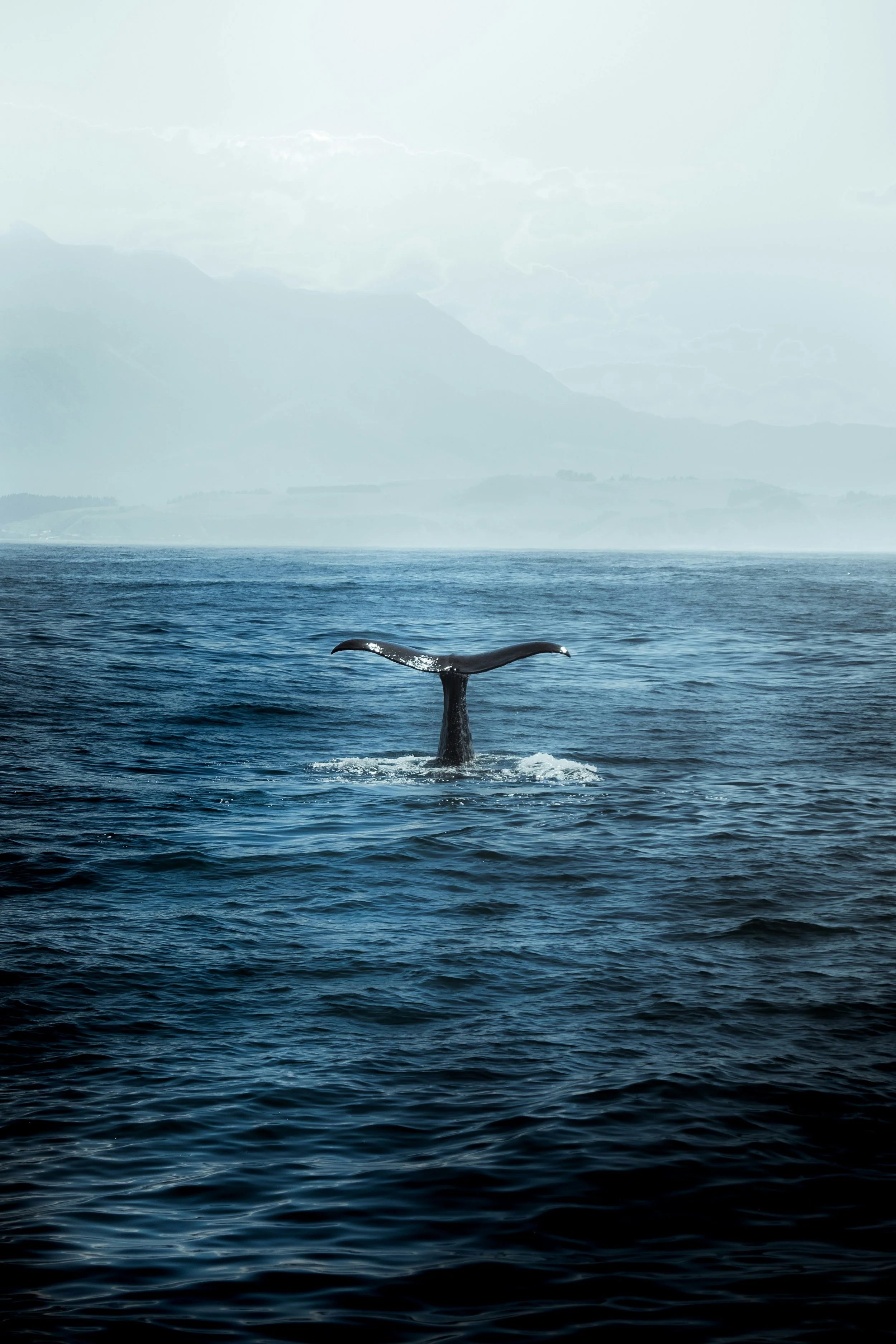 Summer Exclusive: 7-Day Enchanting South Island Escape