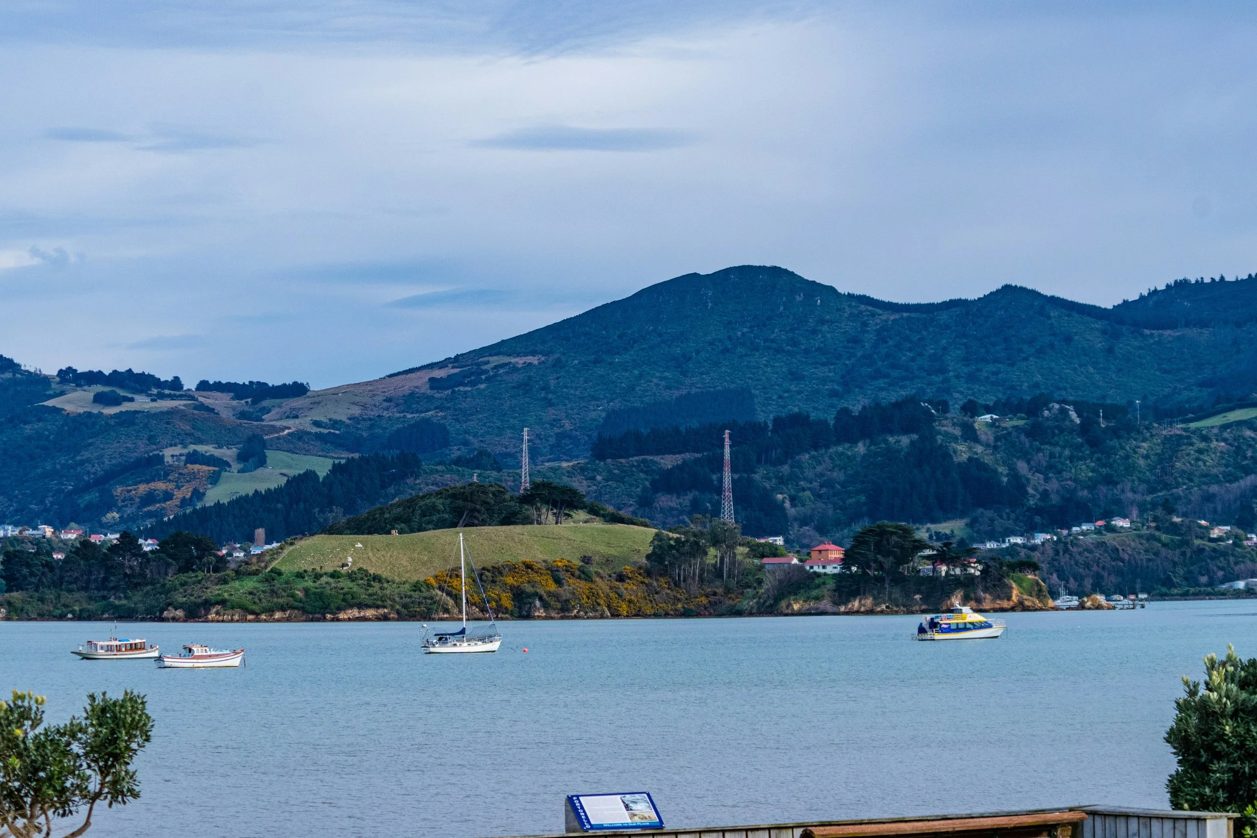 Day6_Dunedin_Harbour.jpg.jpg