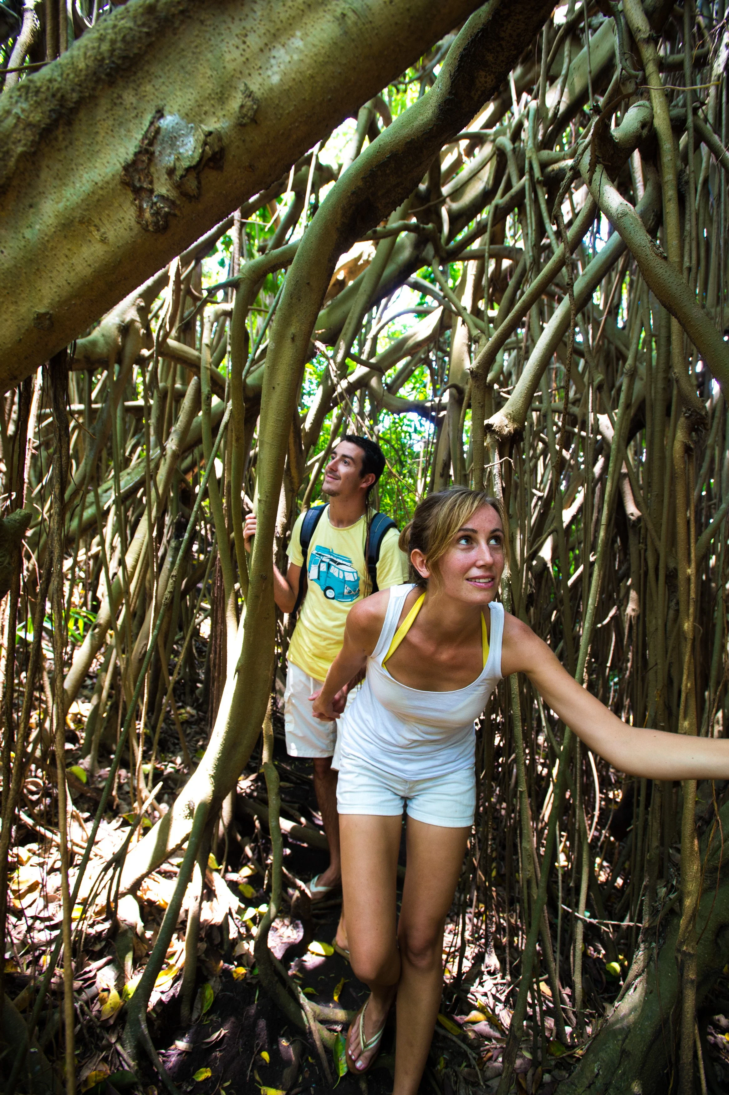 banyan_tree_trek_tanna_activities.jpg