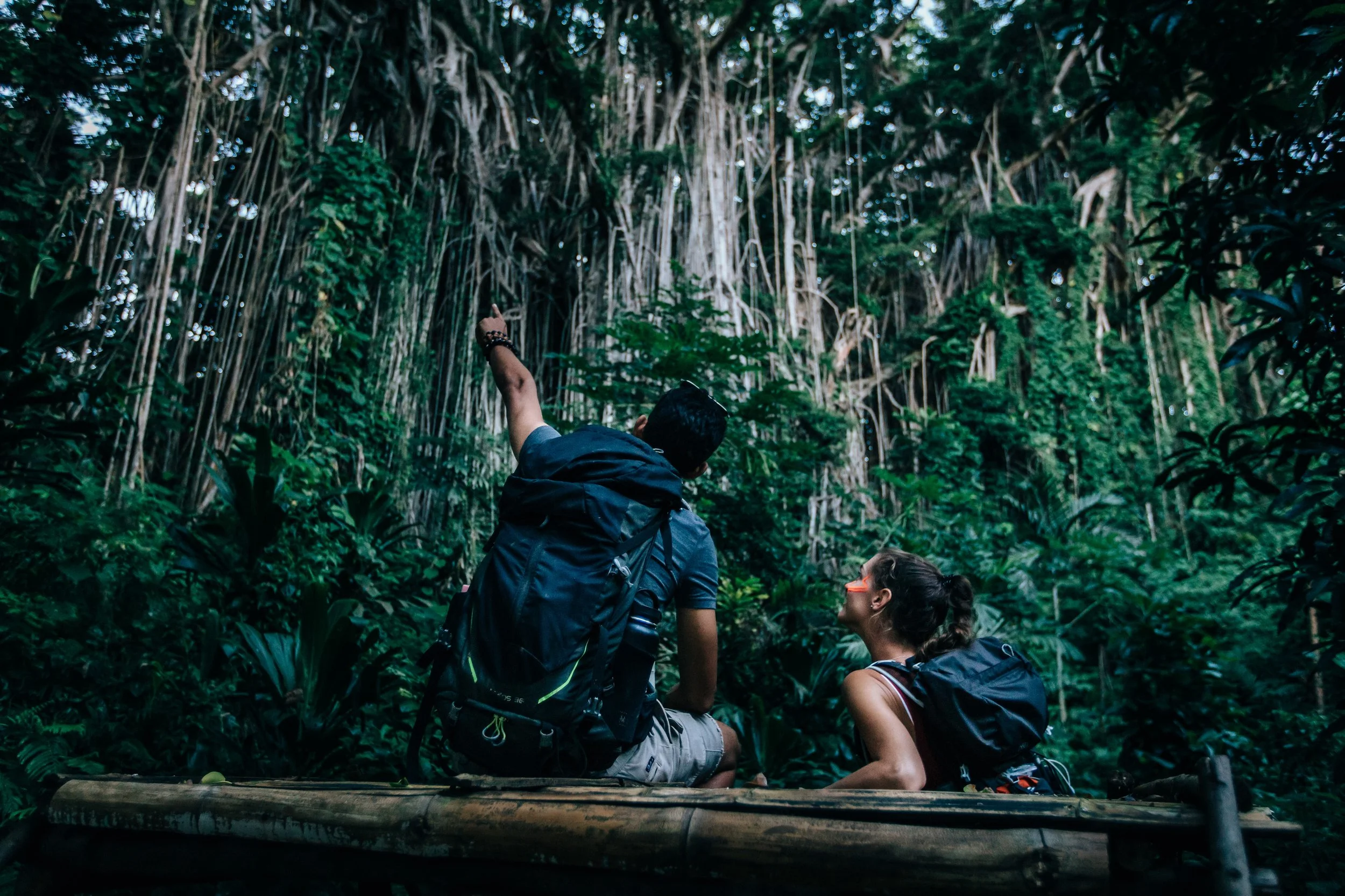 banyan_tree_nature_tanna_activities.jpg