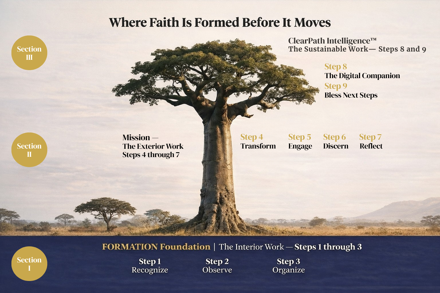 The Rooted Path nine-step FORMATION framework showing three sections — FORMATION Foundation, Mission, and ClearPath Intelligence across a baobab tree.
