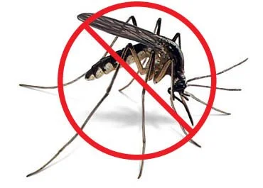 DIY: INSECT REPELLENT
