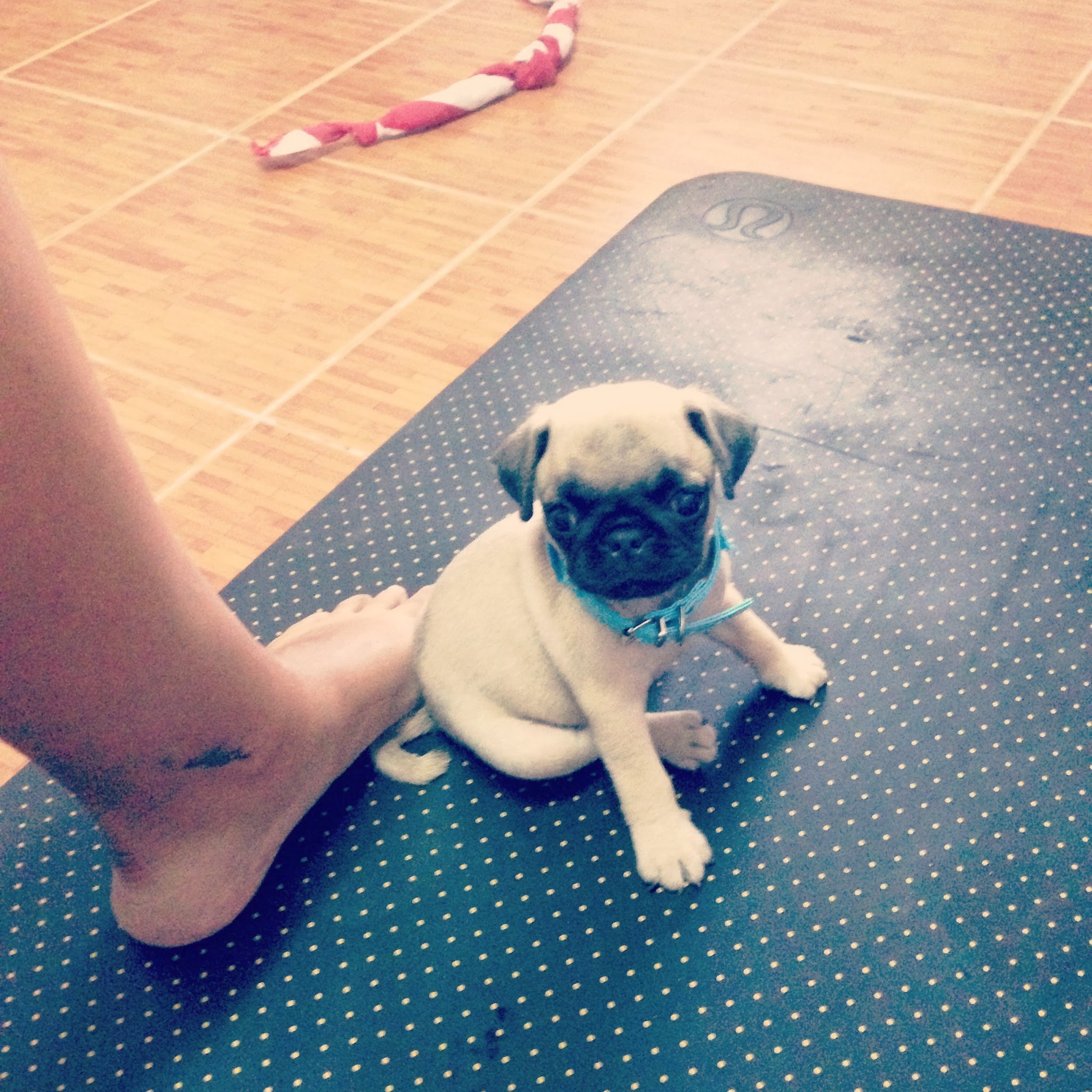 The Road to Khon Kaen: Yoga and Stretching for Runners