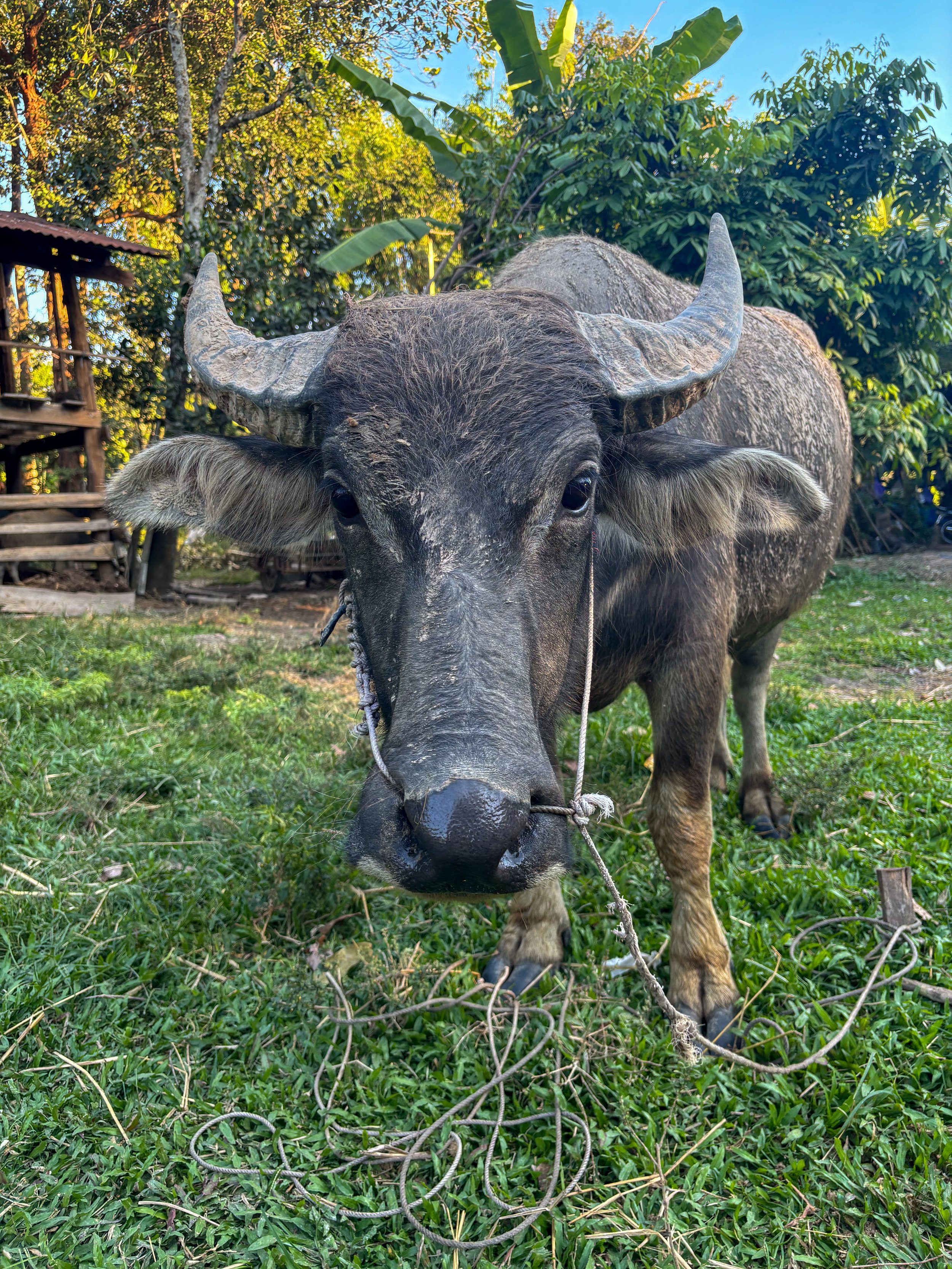 Love Letter to my Province