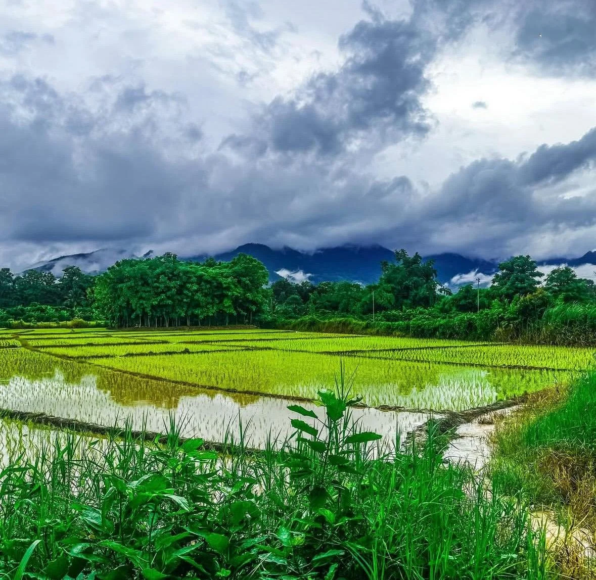 WhatsApp Image 2026-04-01 at 13.20.38.jpeg