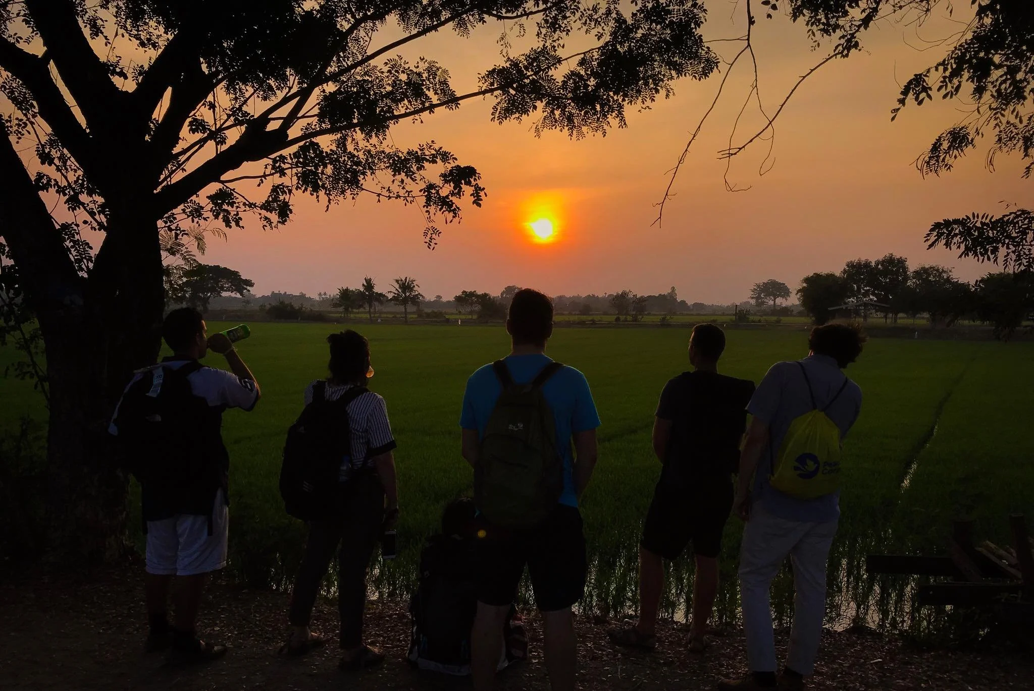 Pre-Service Training in 159 Seconds