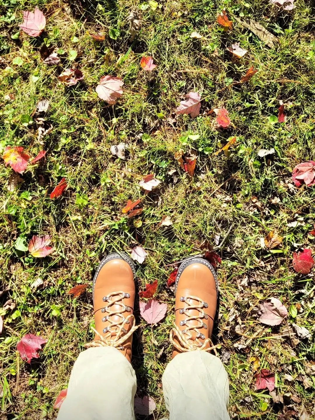 Fall Moments in the Land of Smiles