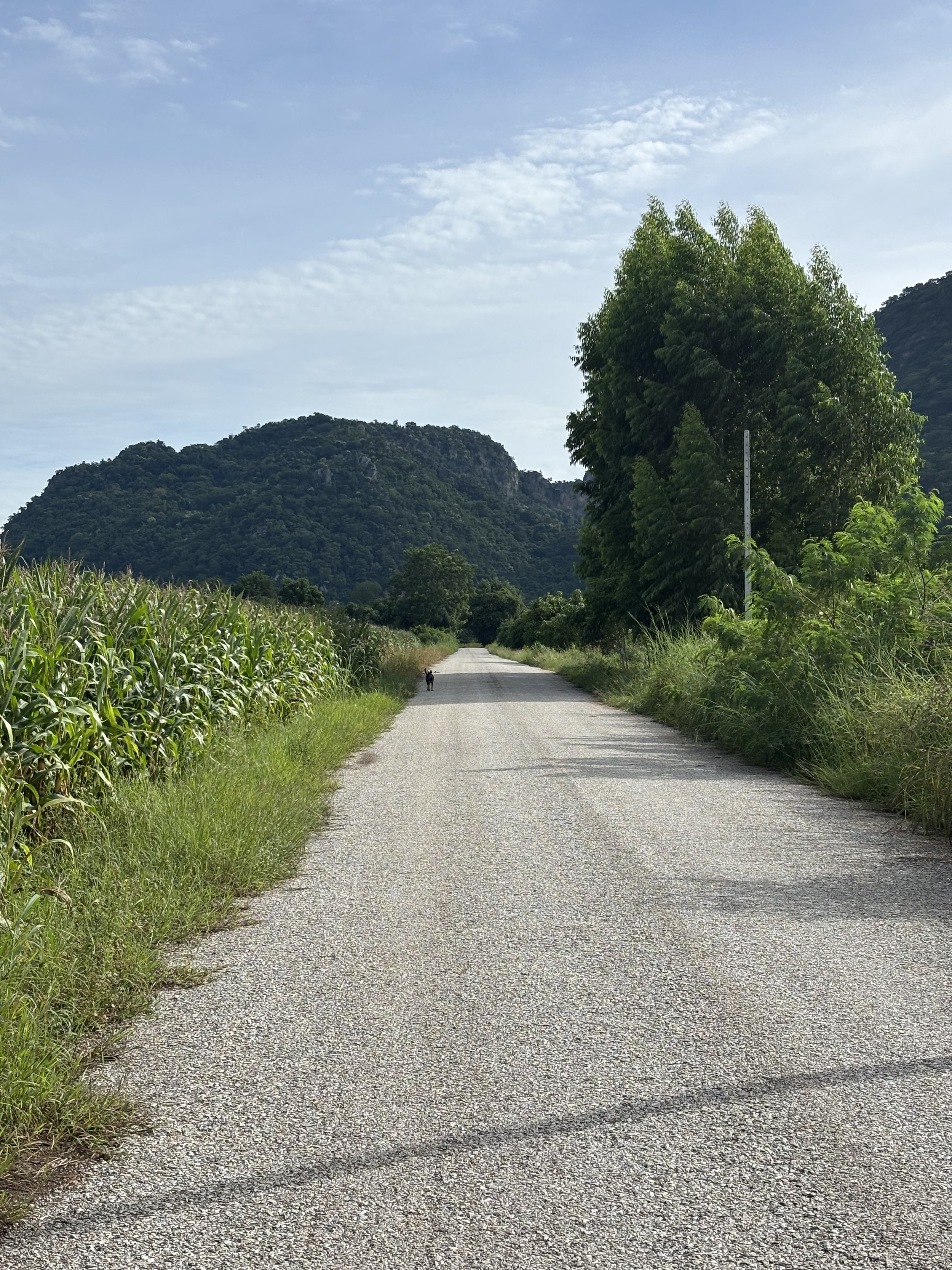 road  - Chloe Hudgins.jpeg